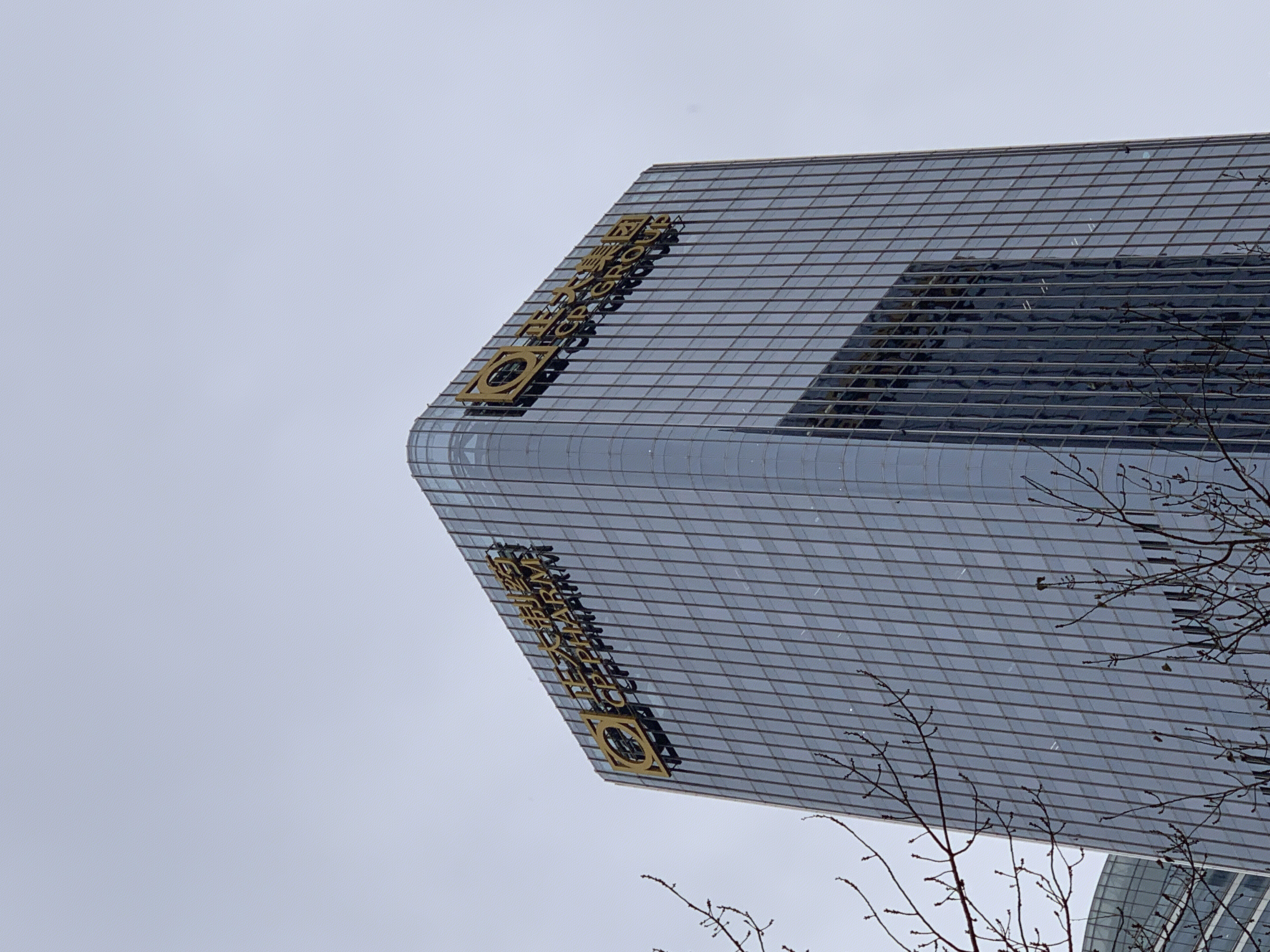 正大制药 正大集团 cp group cbd 国贸中央商务区