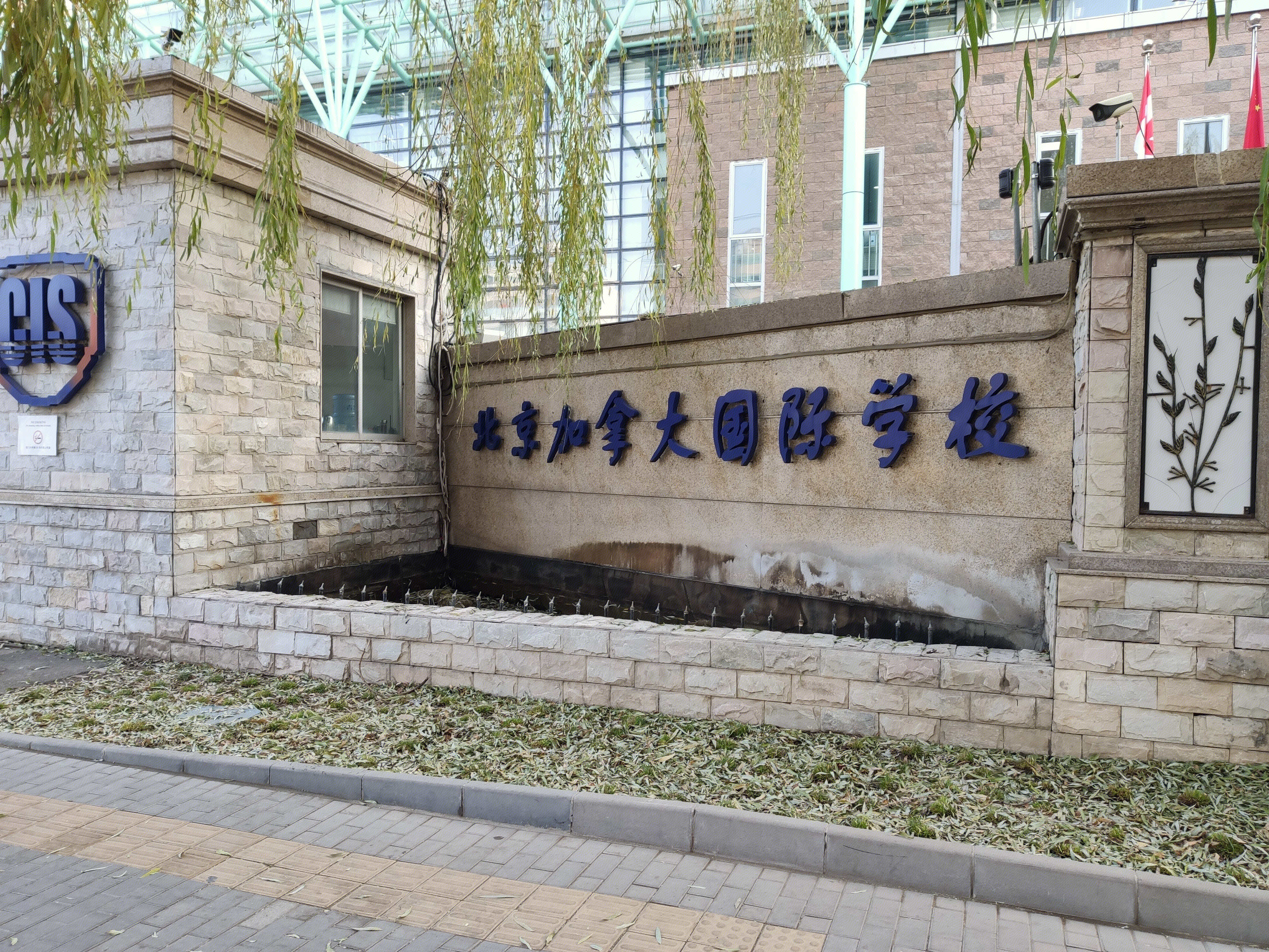 北京加拿大国际学校 CIS 教育