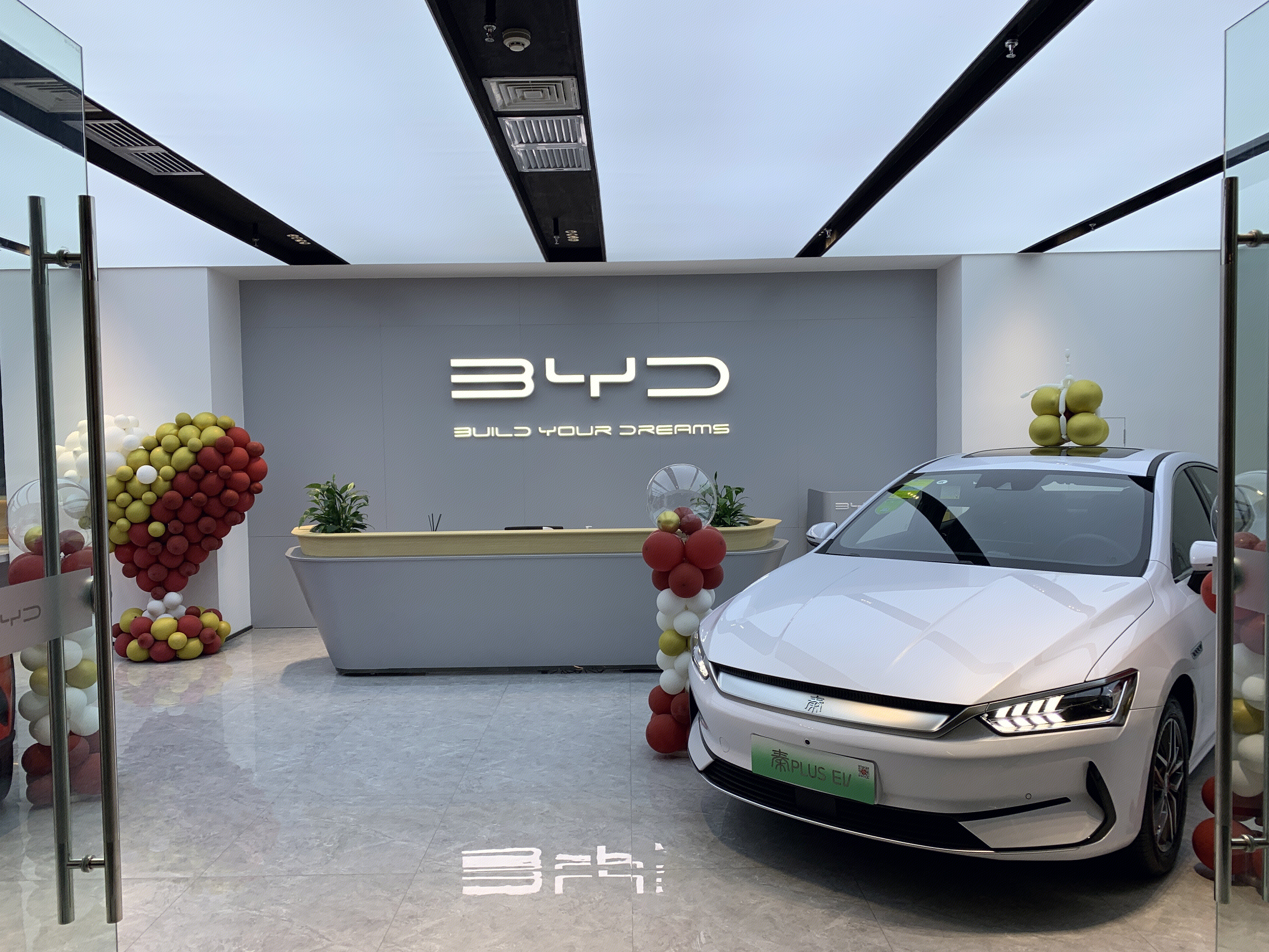 比亚迪 秦 BYD 电动汽车 新能源汽车