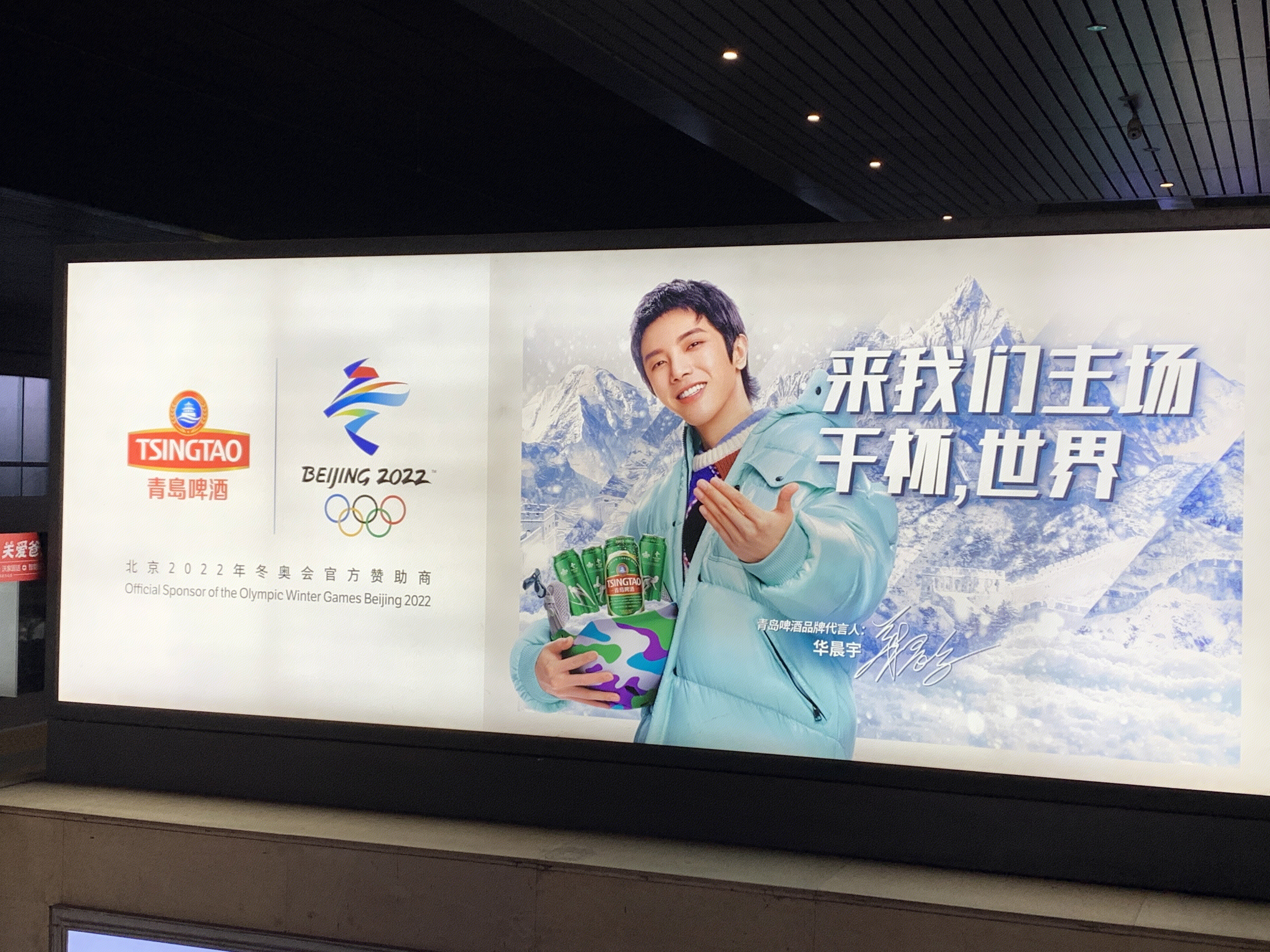 青岛啤酒 TSINGTAO BEER 北京冬奥 冬季奥运会官方赞助商