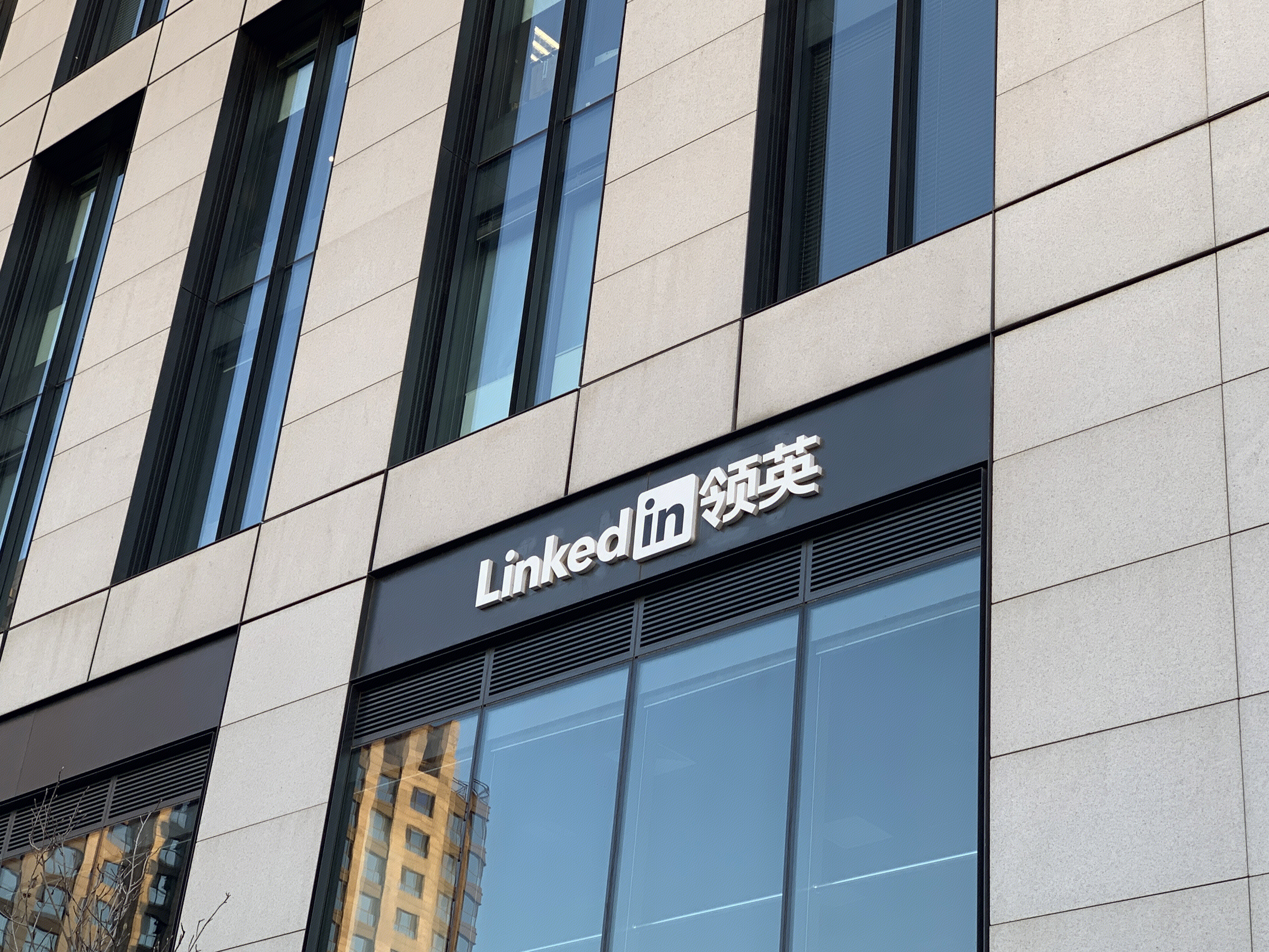 Linkedin  领英 职场 社交 求职 招聘
