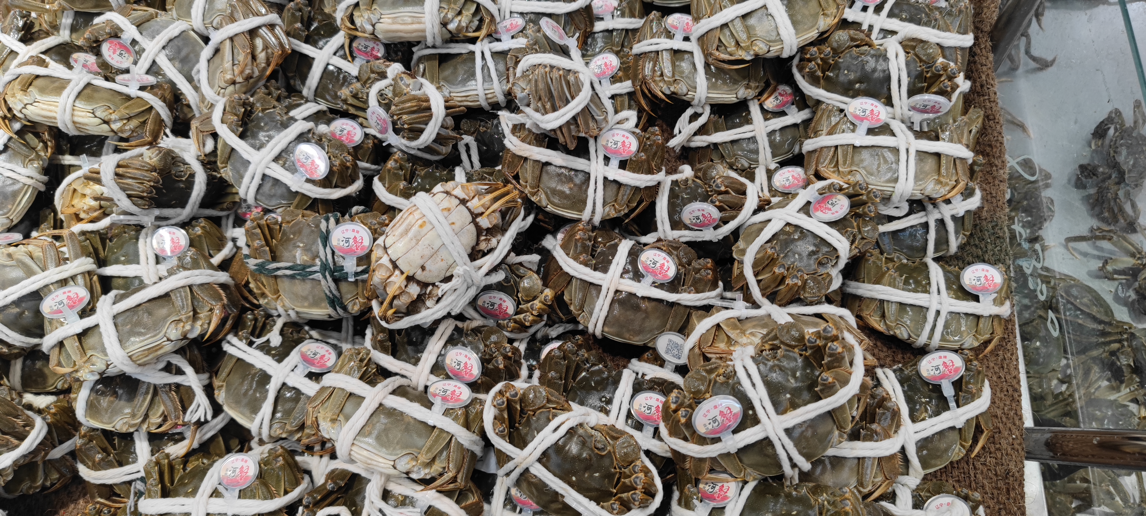 螃蟹 阳澄湖 大闸蟹