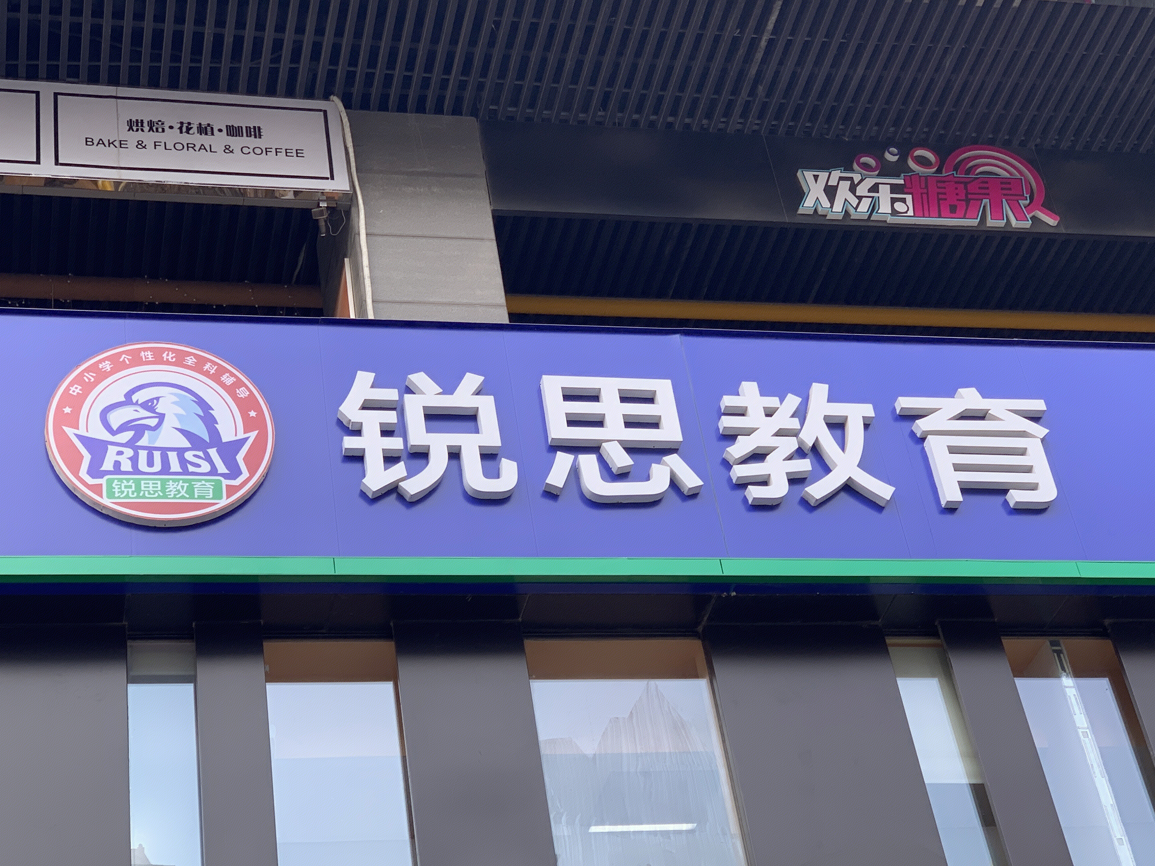 锐思教育 教培 小学初中高中教育培训