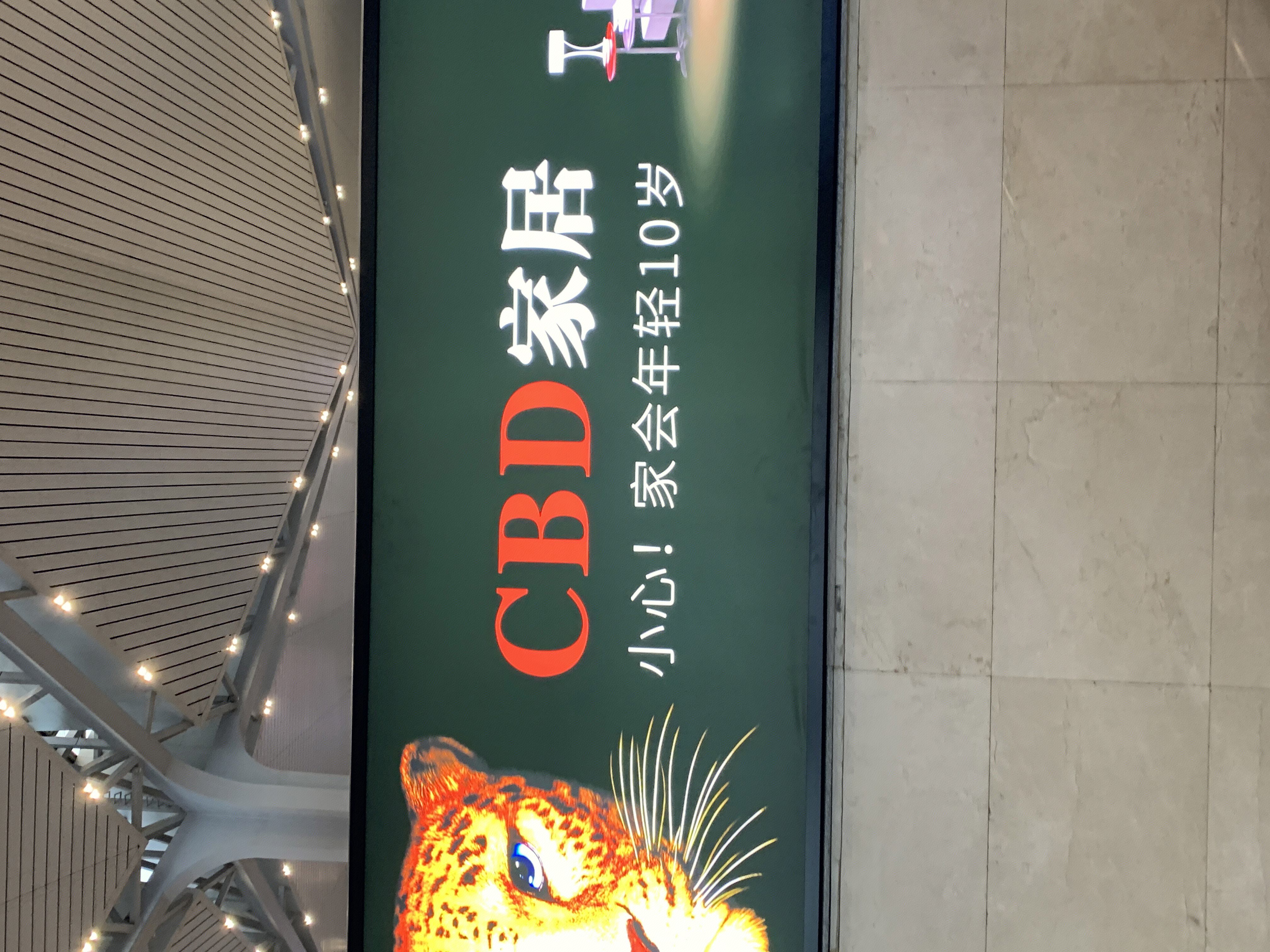CBD 家居 家装 装修 沙发 床