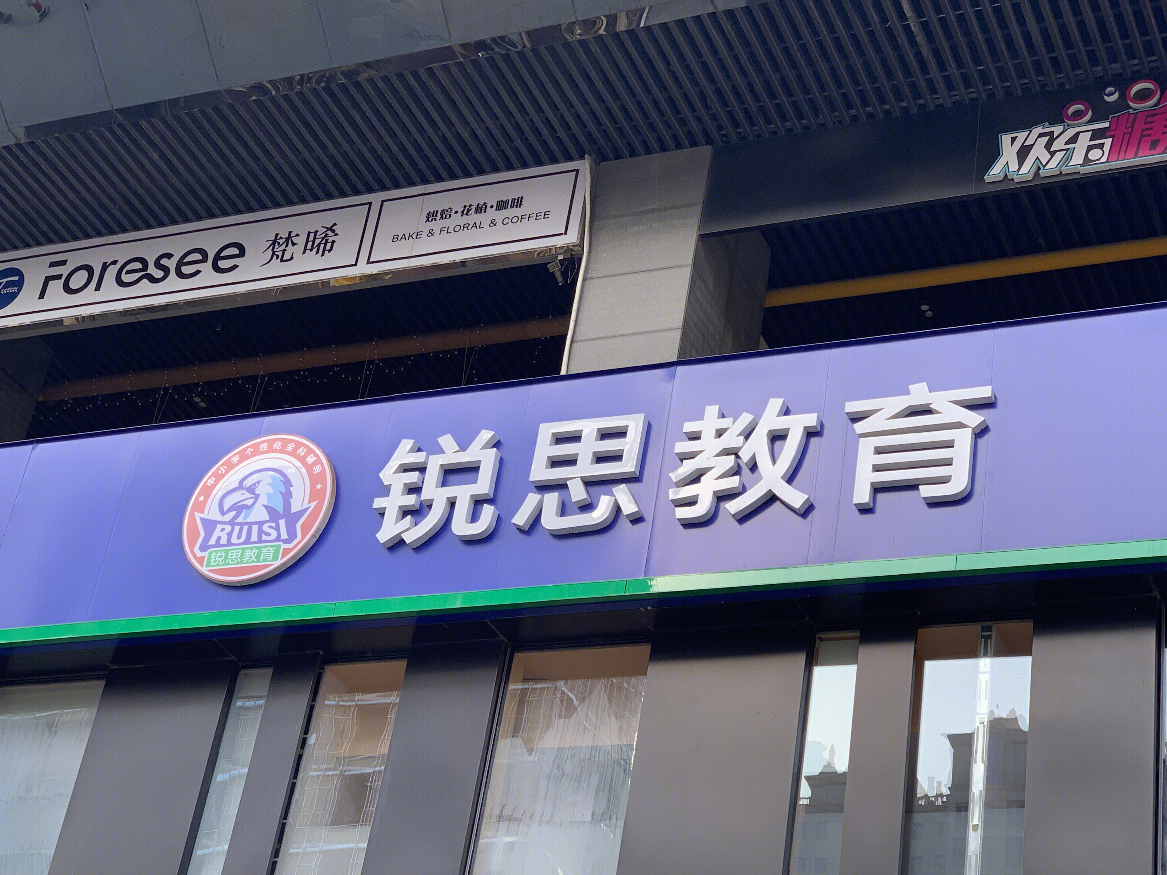 锐思教育 教培 小学初中高中教育培训