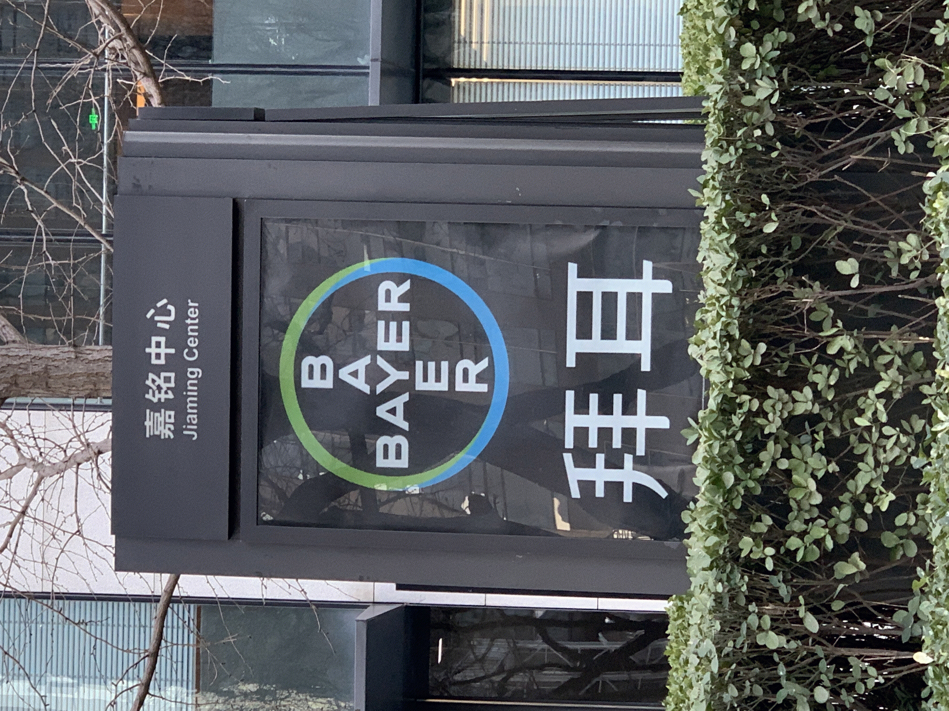 拜尔医药 BAYER 药企 制药 德国