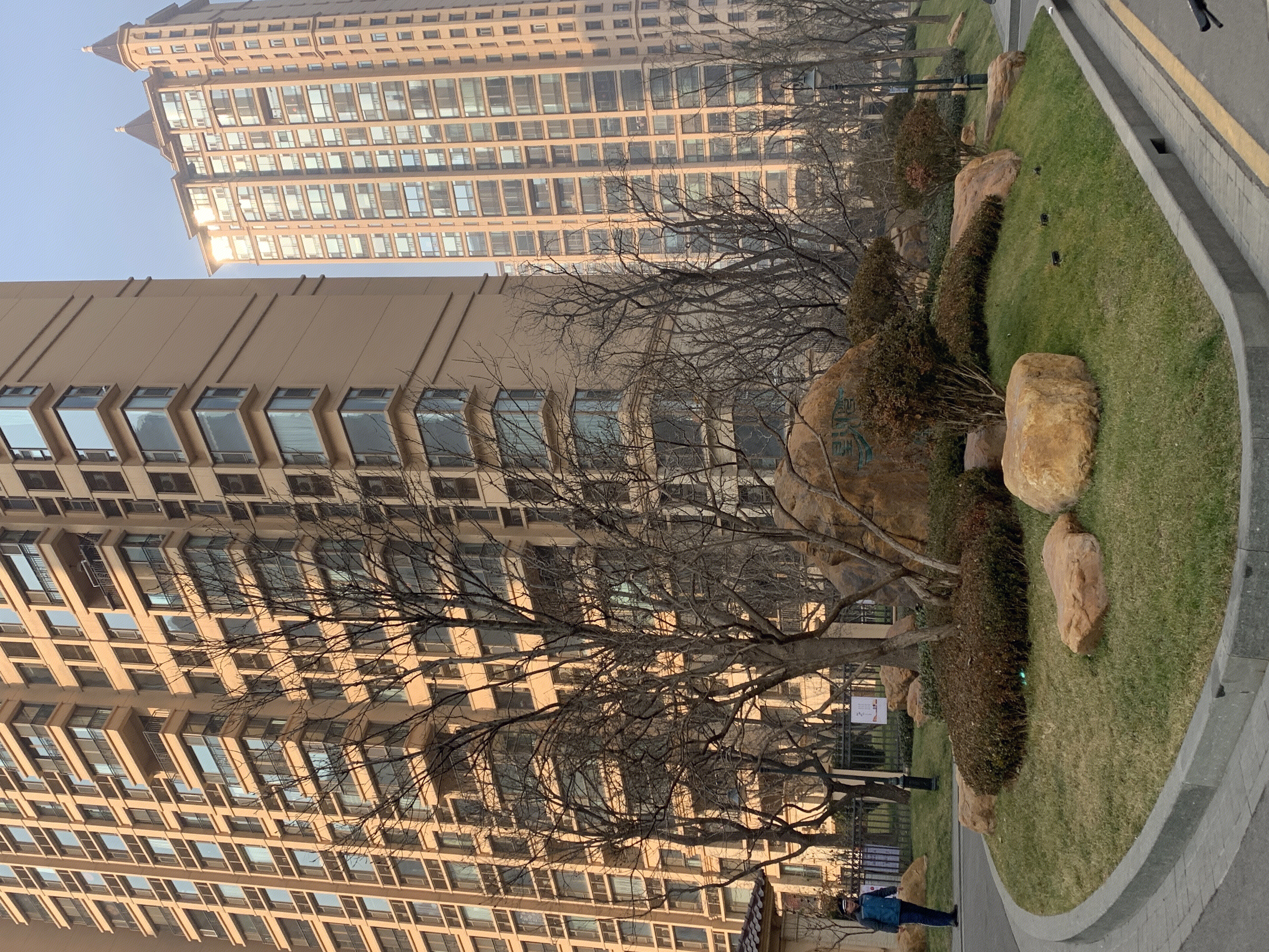 星河湾 房地产 开发商 高端住宅