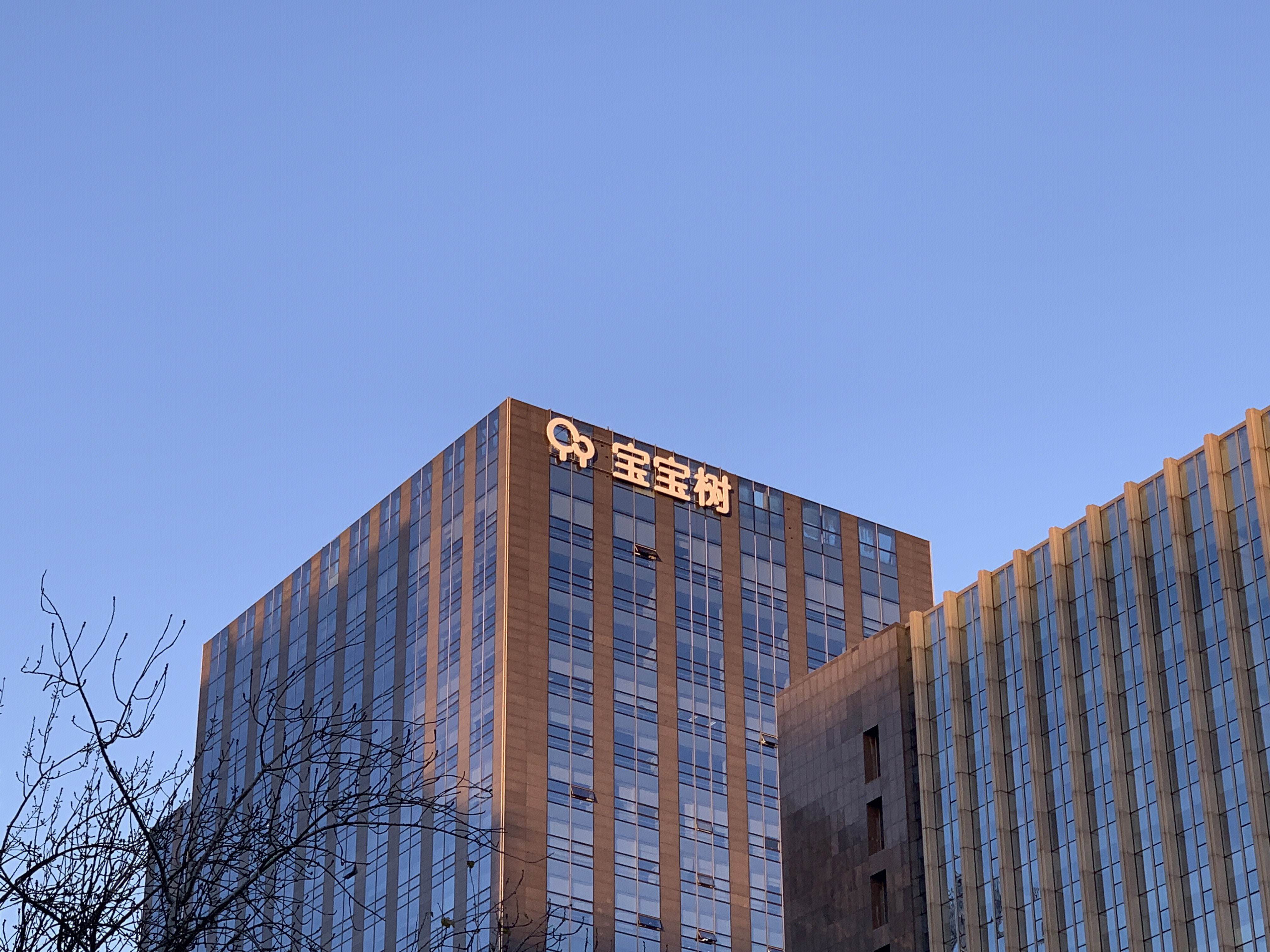 宝宝树 育儿 母婴 社区