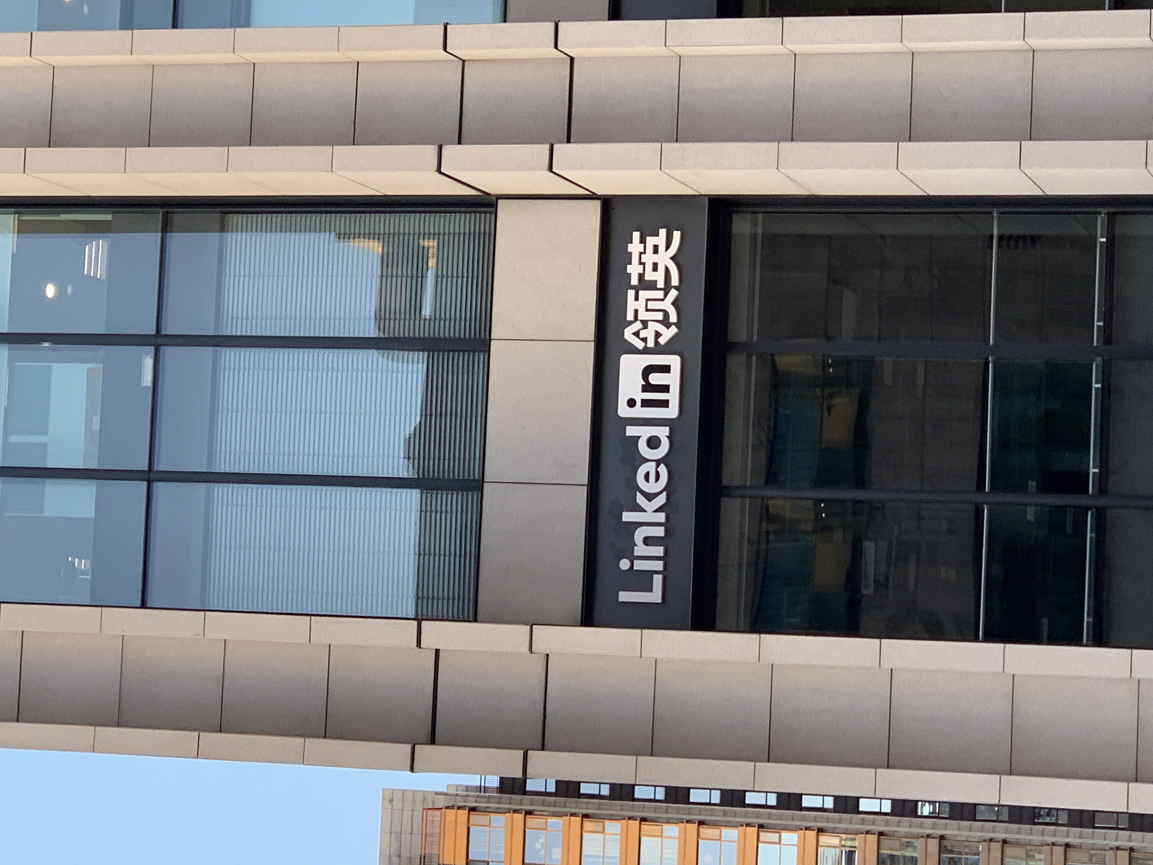 Linkedin  领英 职场 社交 求职 招聘