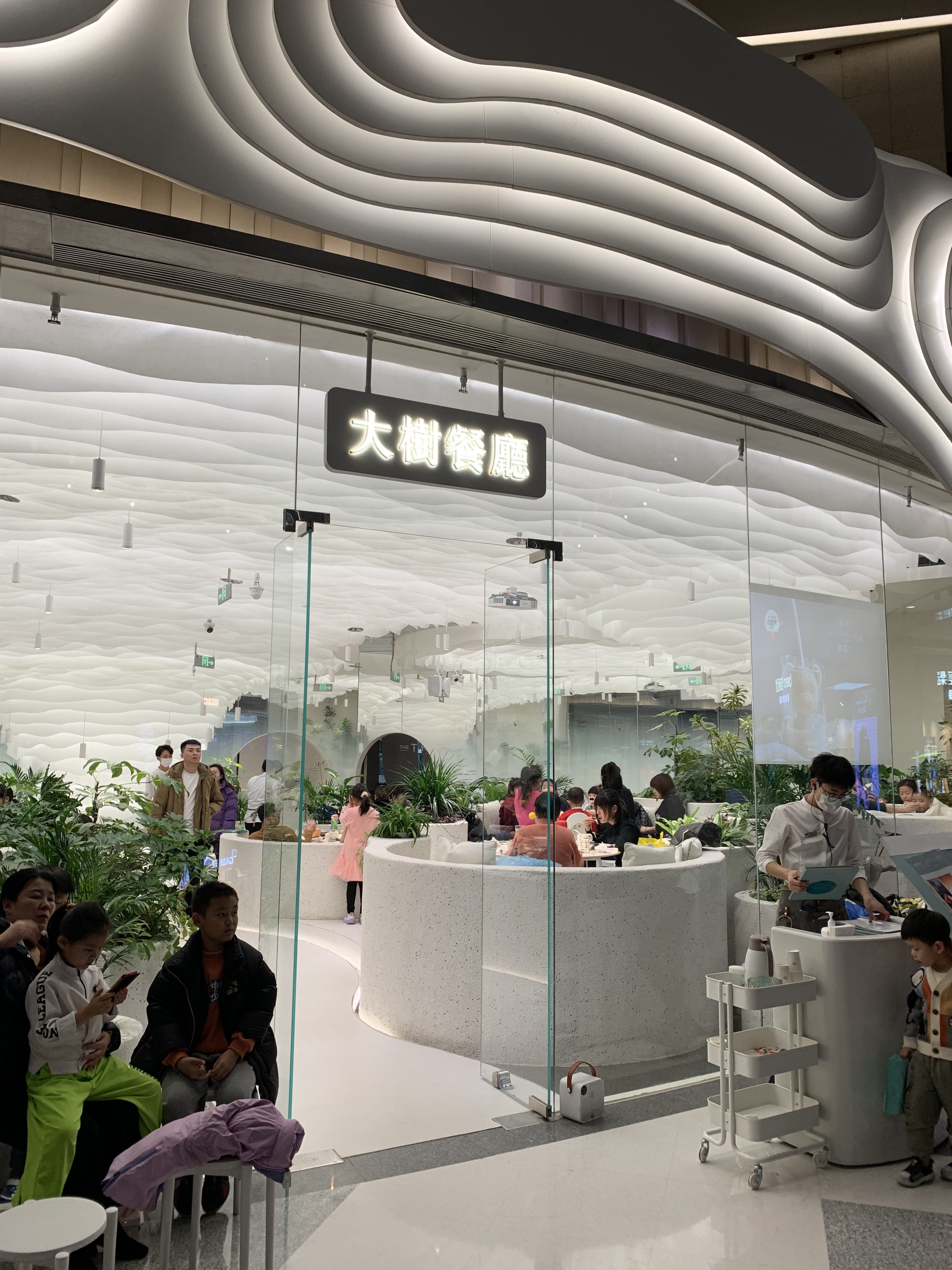 大树餐厅   粤菜  餐厅  餐饮