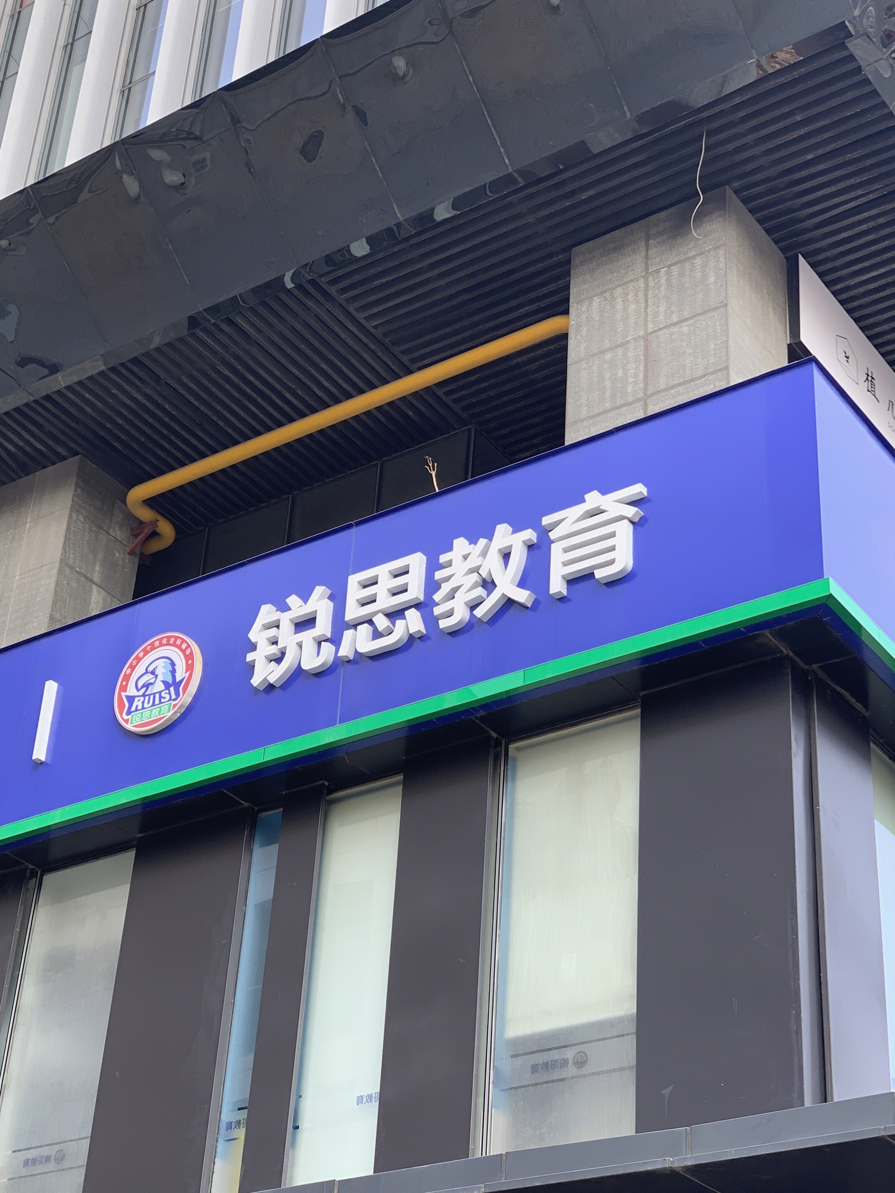 锐思教育 教培 小学初中高中教育培训