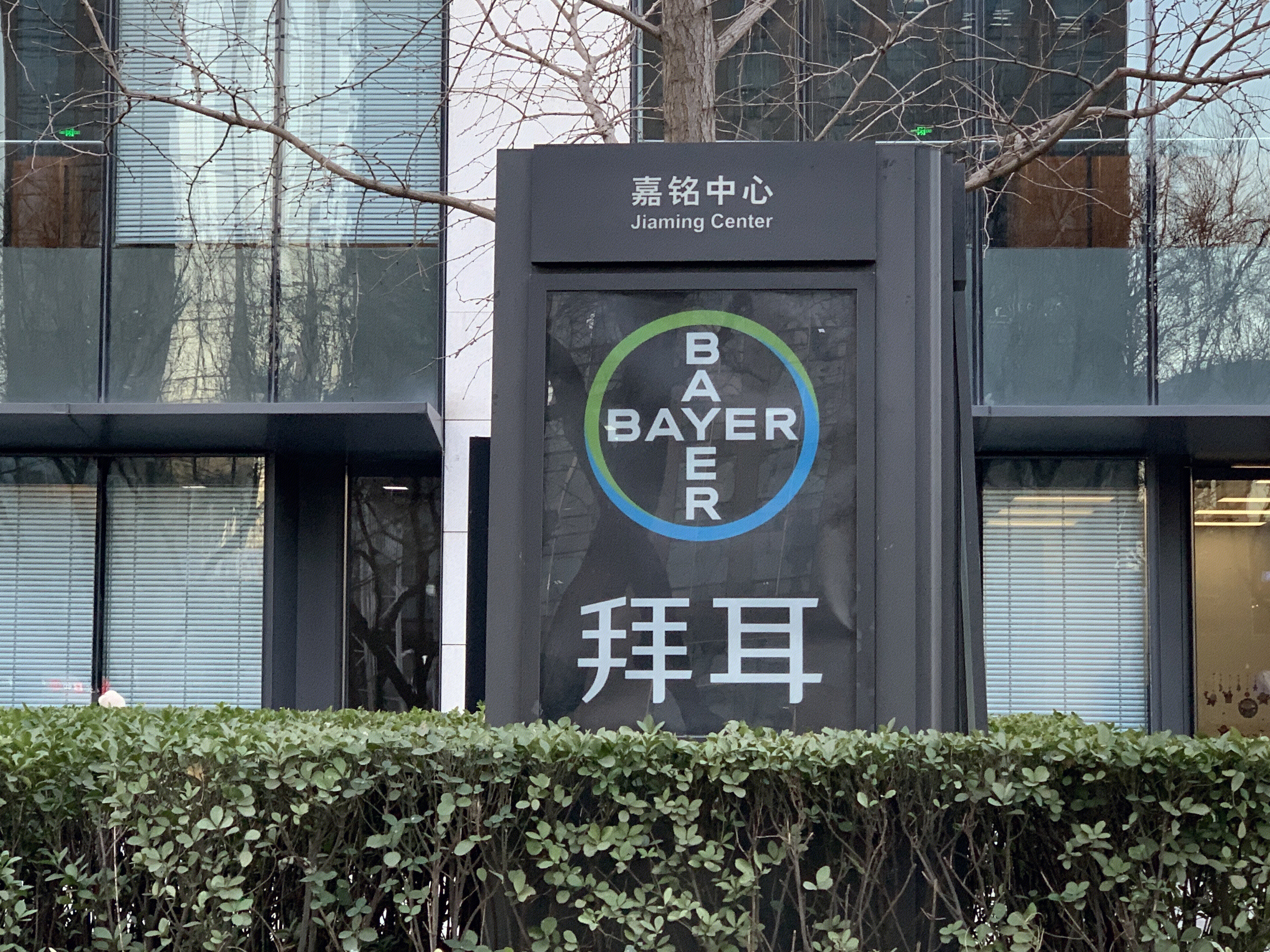 拜尔医药 BAYER 药企 制药 德国