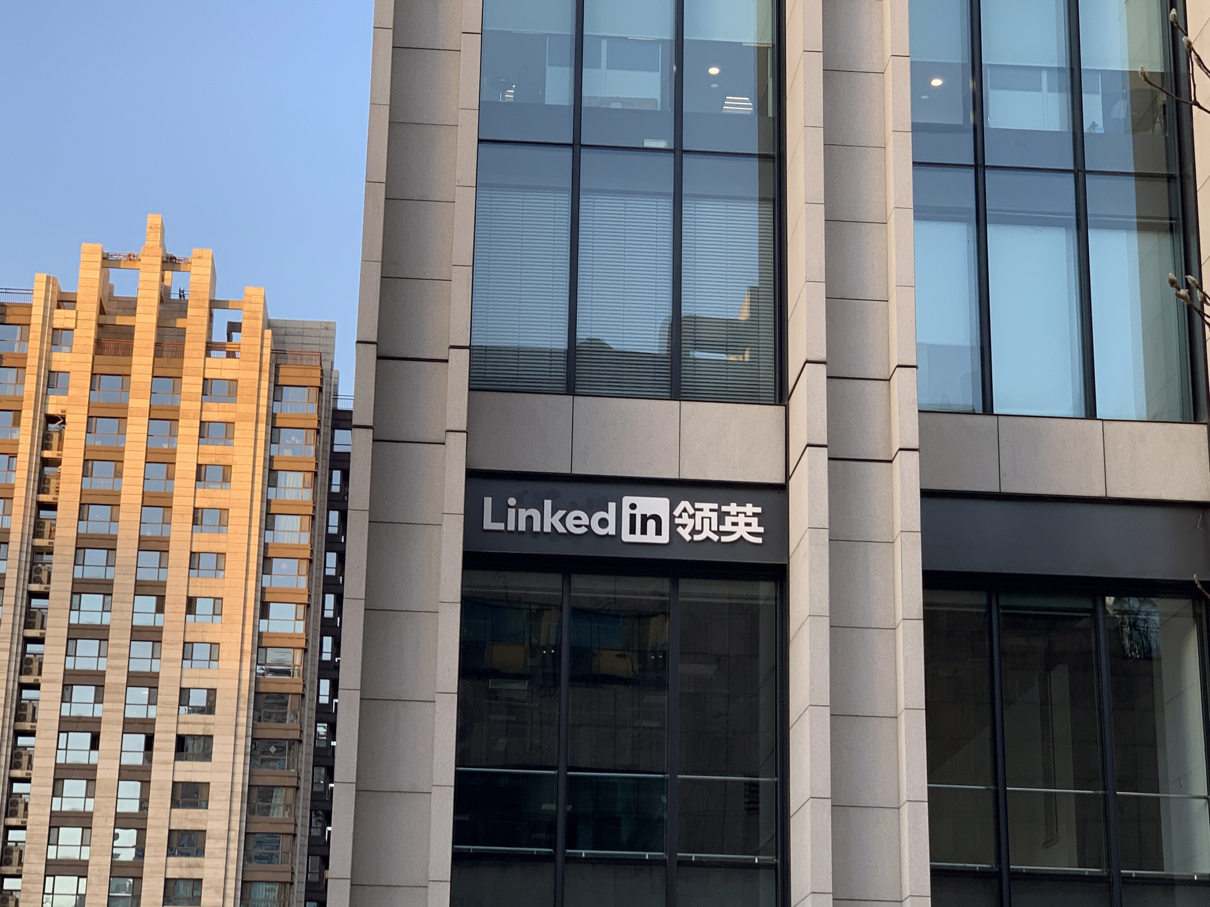 Linkedin  领英 职场 社交