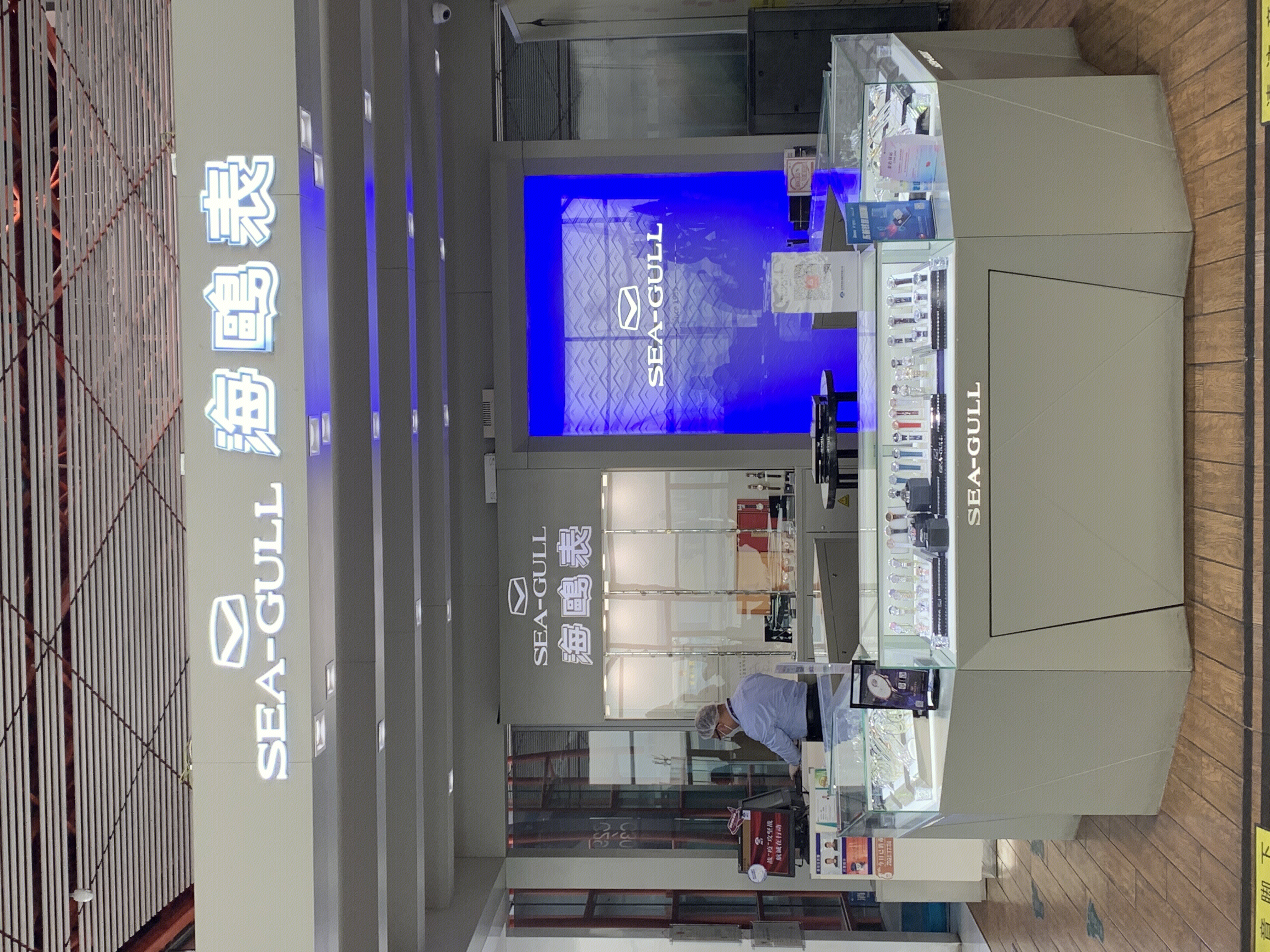 海鸥表 SEA-GULL 手表