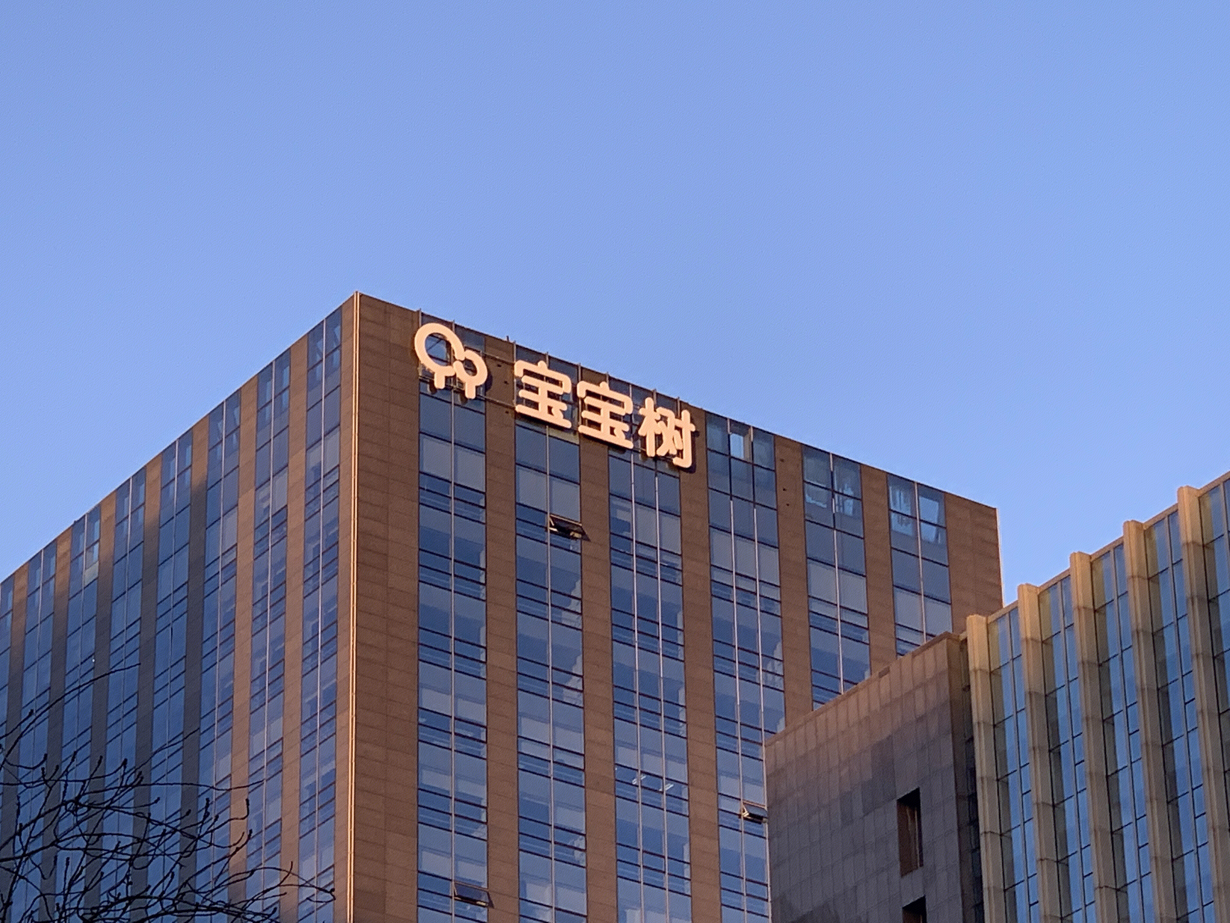 宝宝树 育儿 母婴 社区