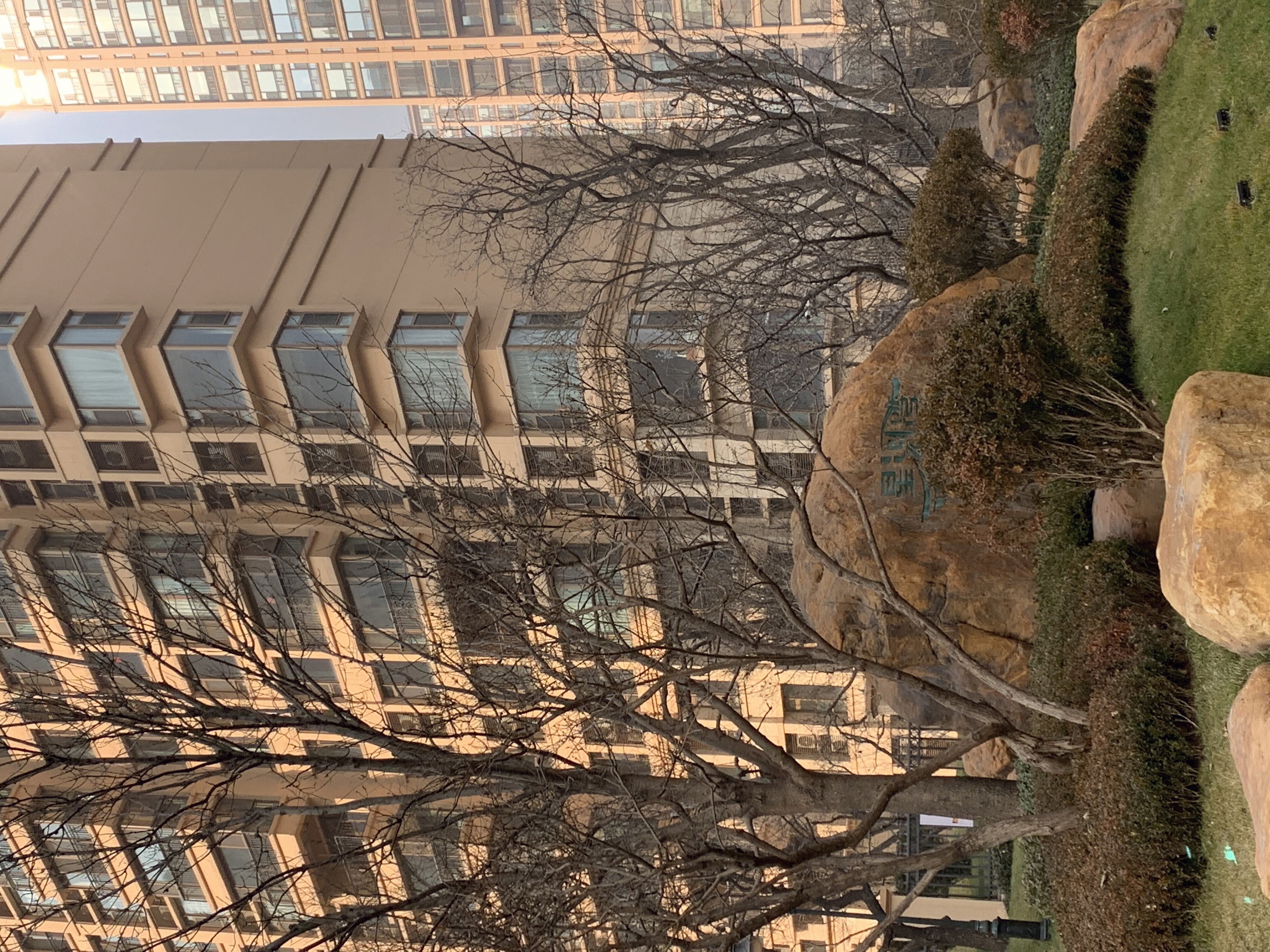 星河湾 楼盘 房地产 开发商 高端住宅