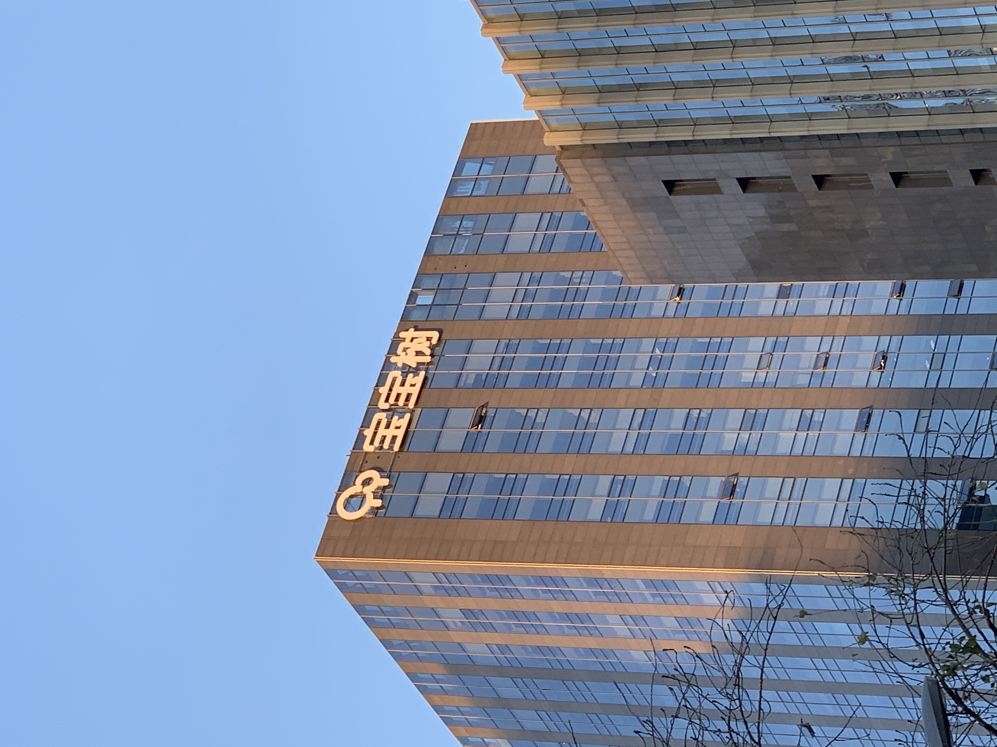 宝宝树 育儿 母婴 社区