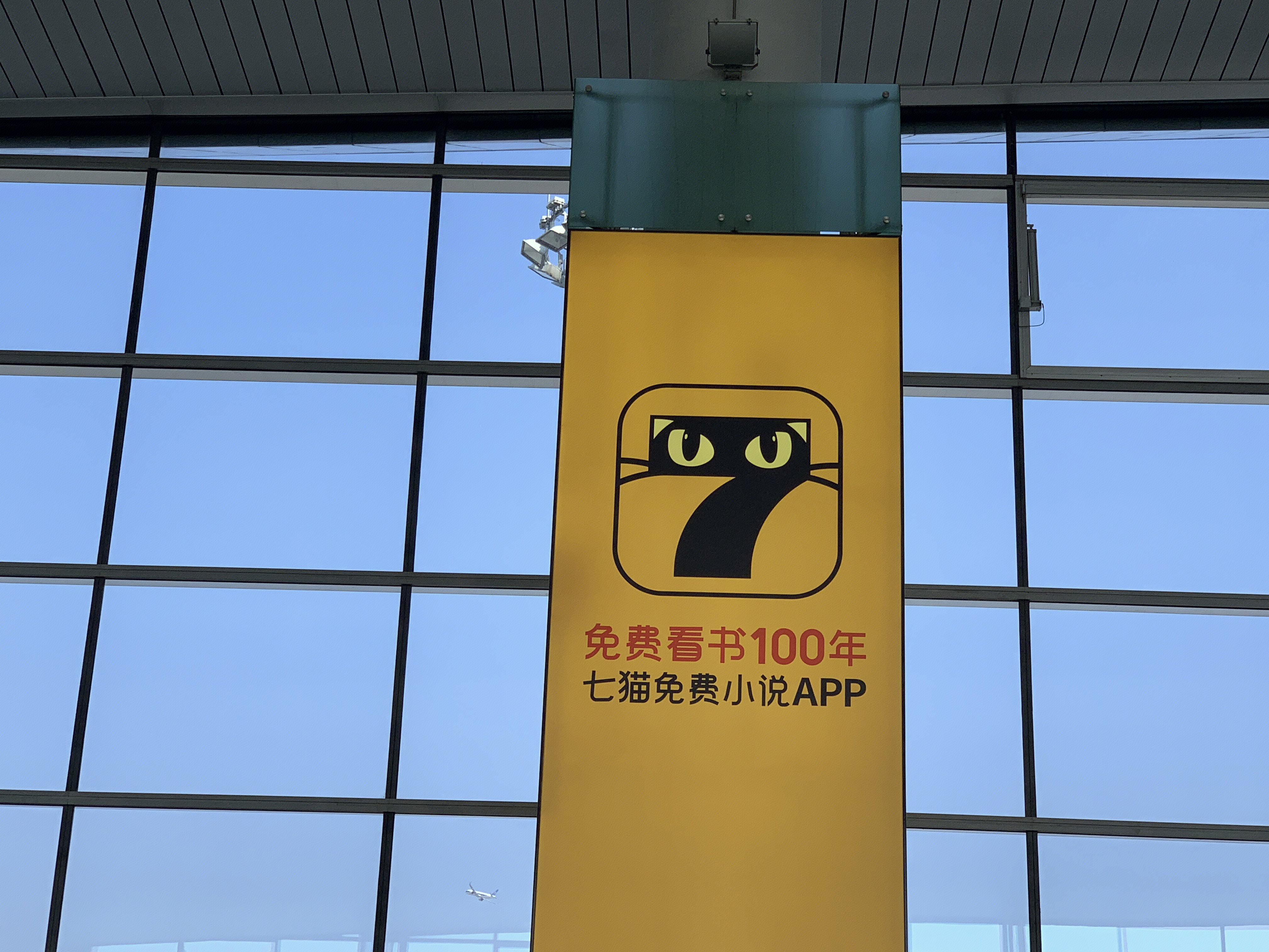 七猫 免费小说 免费看书