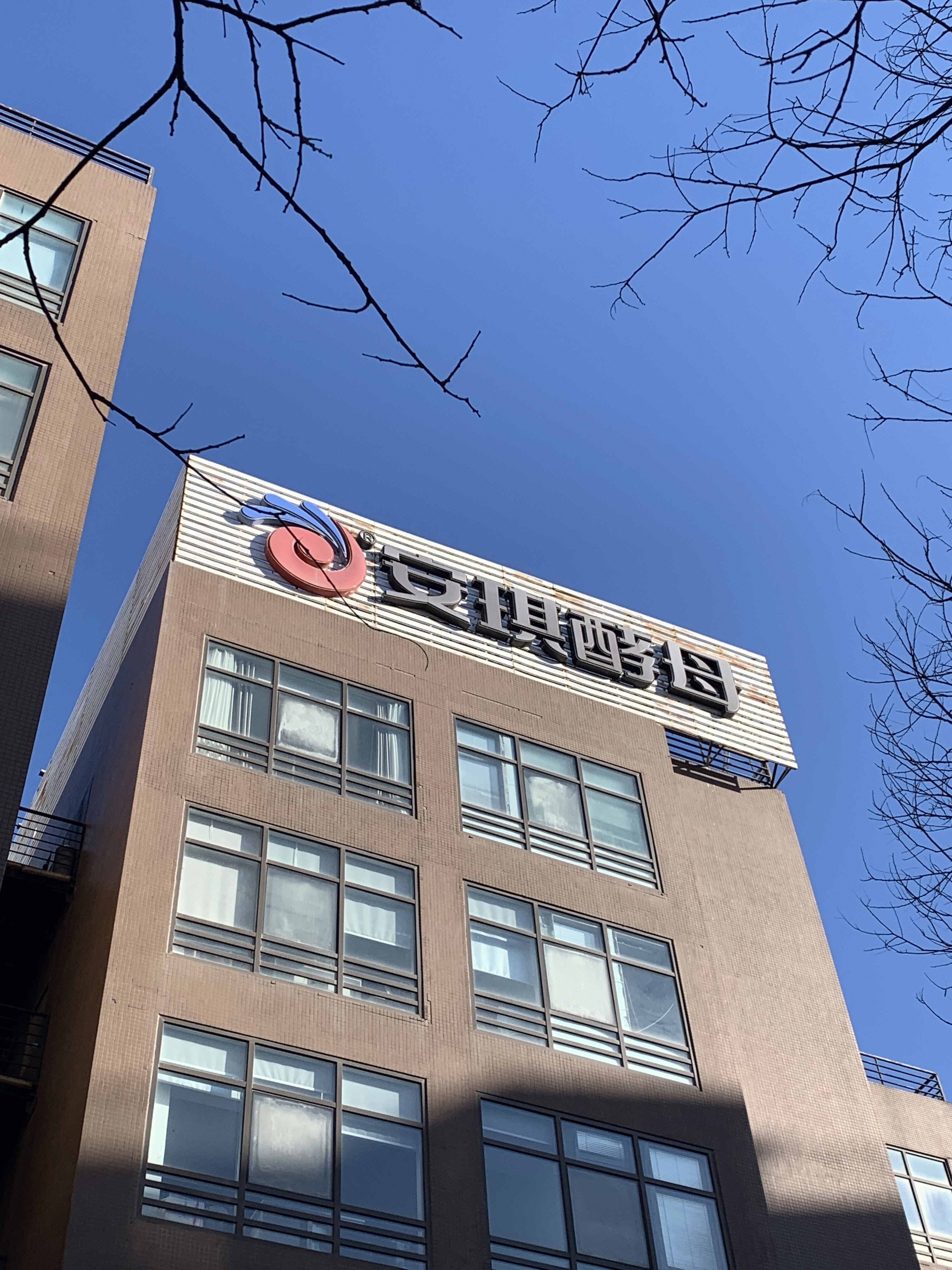 安琪酵母 食品 生物技术