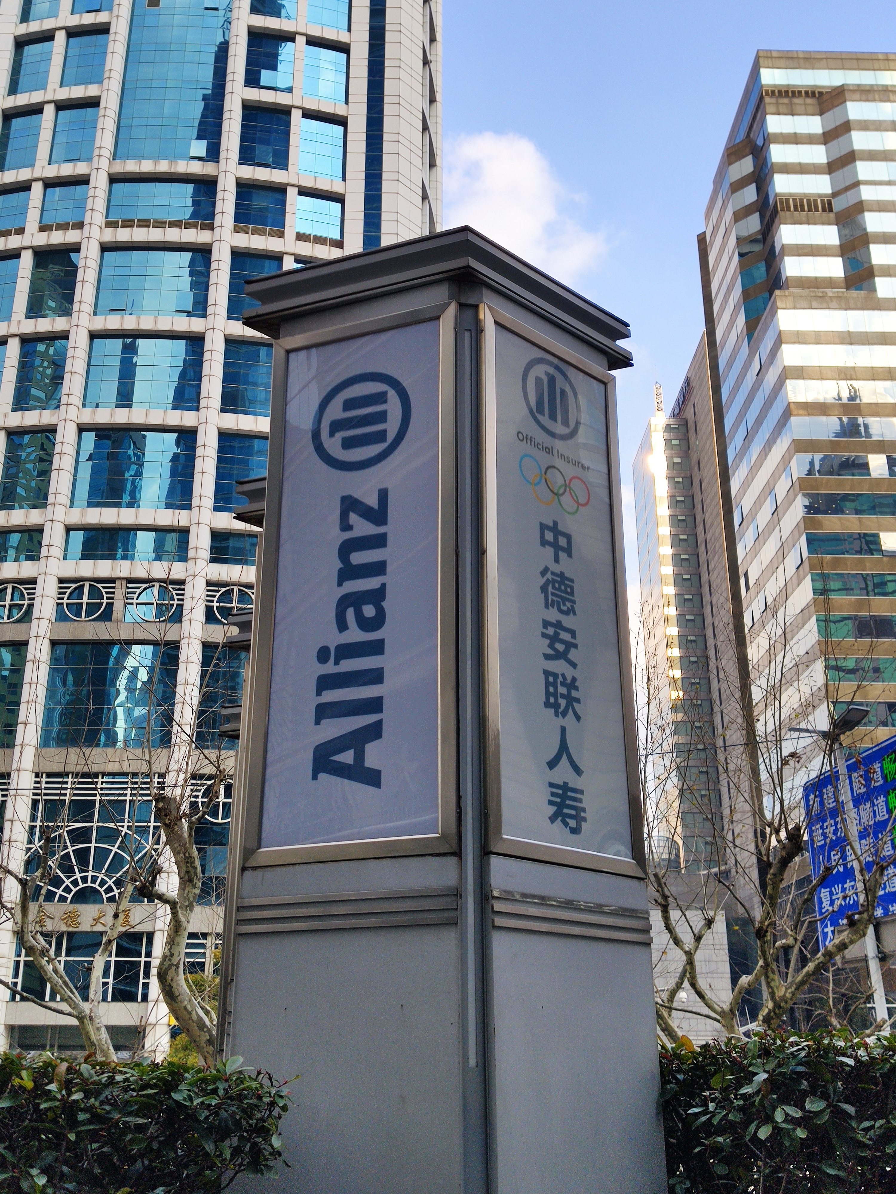 Allianz 中德安联人寿 保险 寿险
