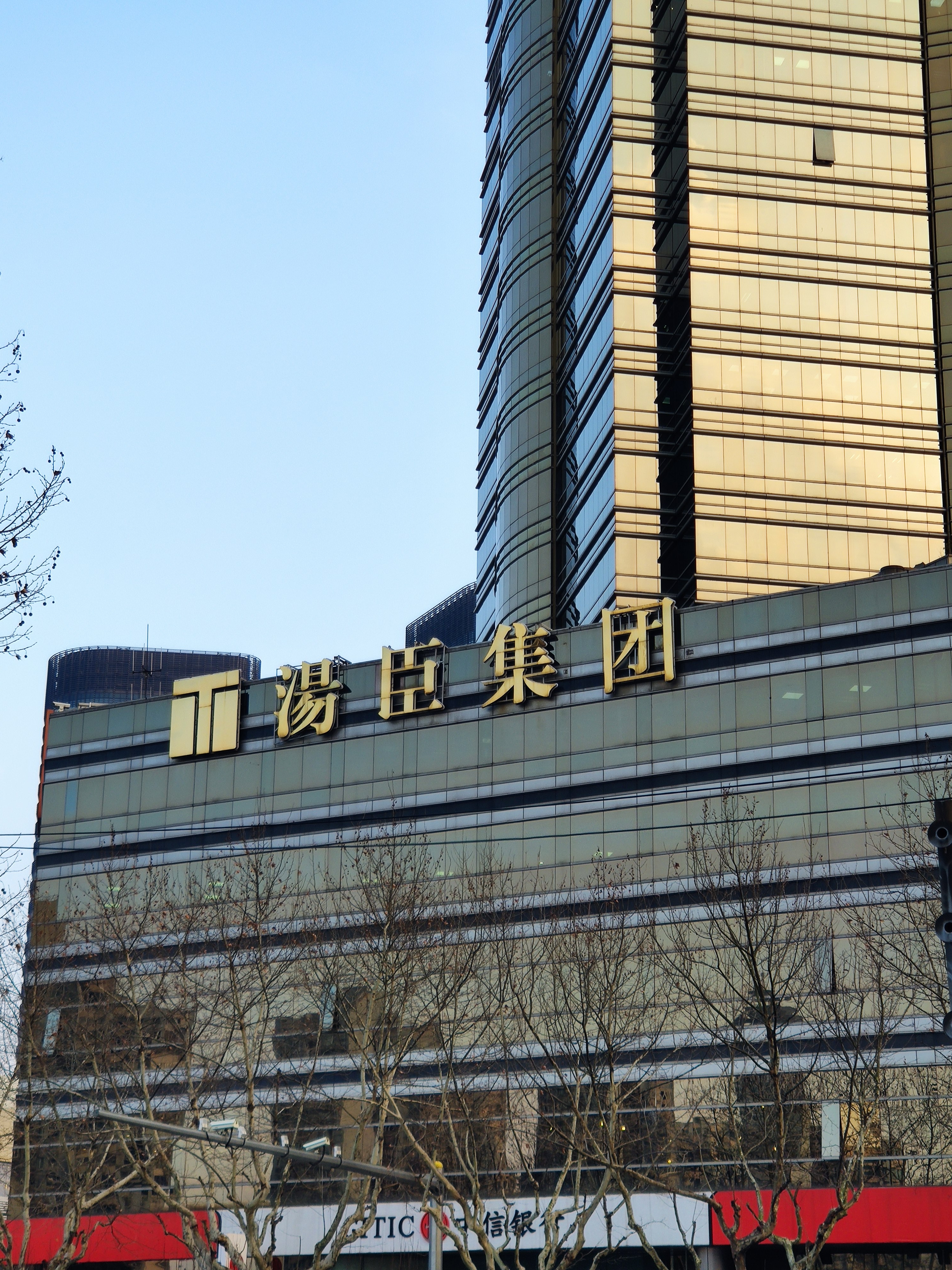 汤臣集团 汤臣一品 房地产 开发商