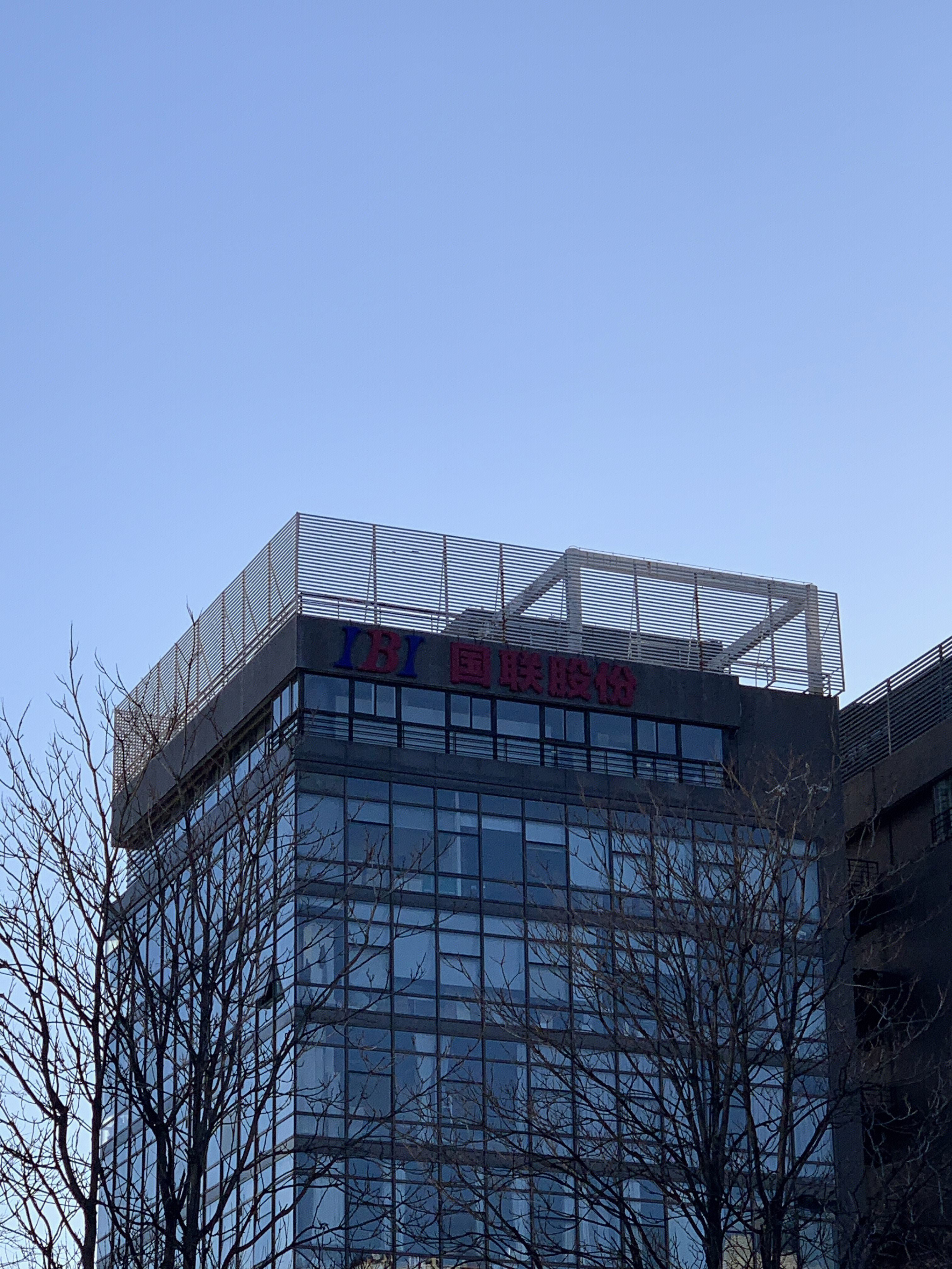 国联股份 B2B电子商务 产业互联网