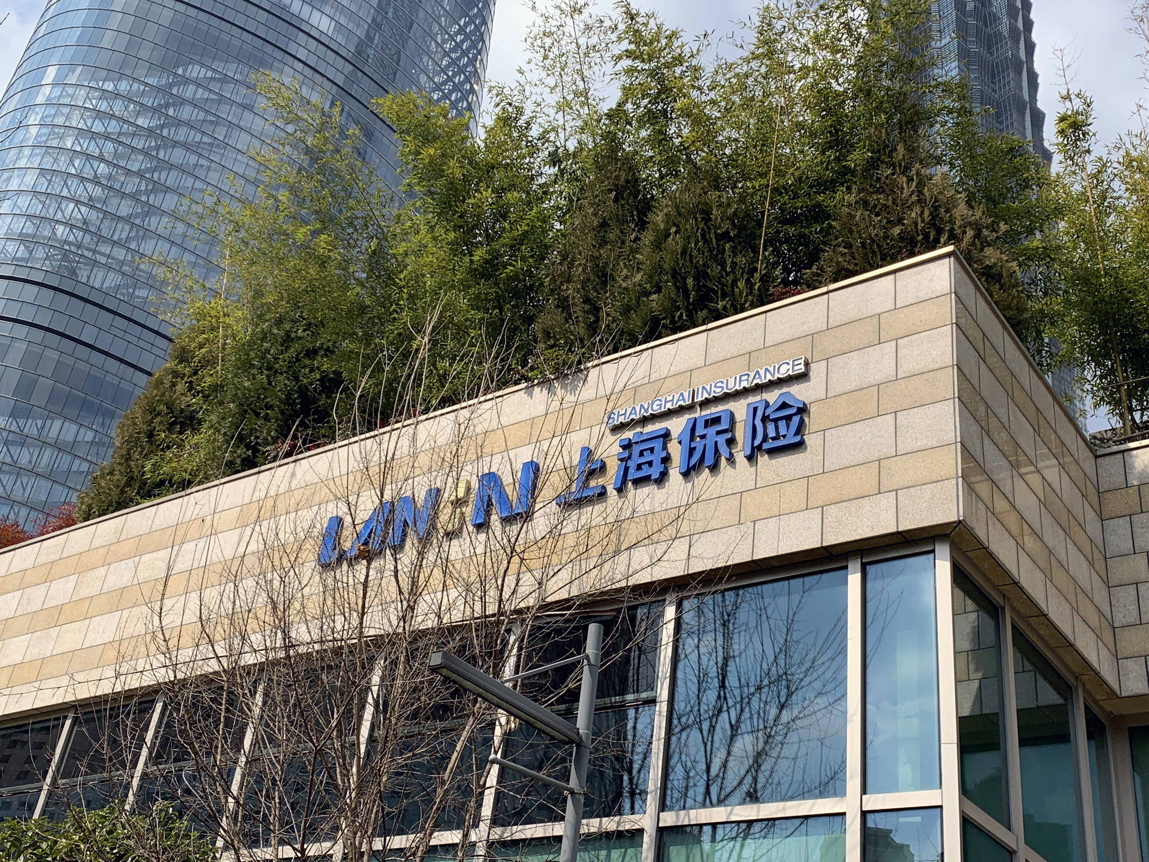 上海保险 览海控股 览海系 密春雷