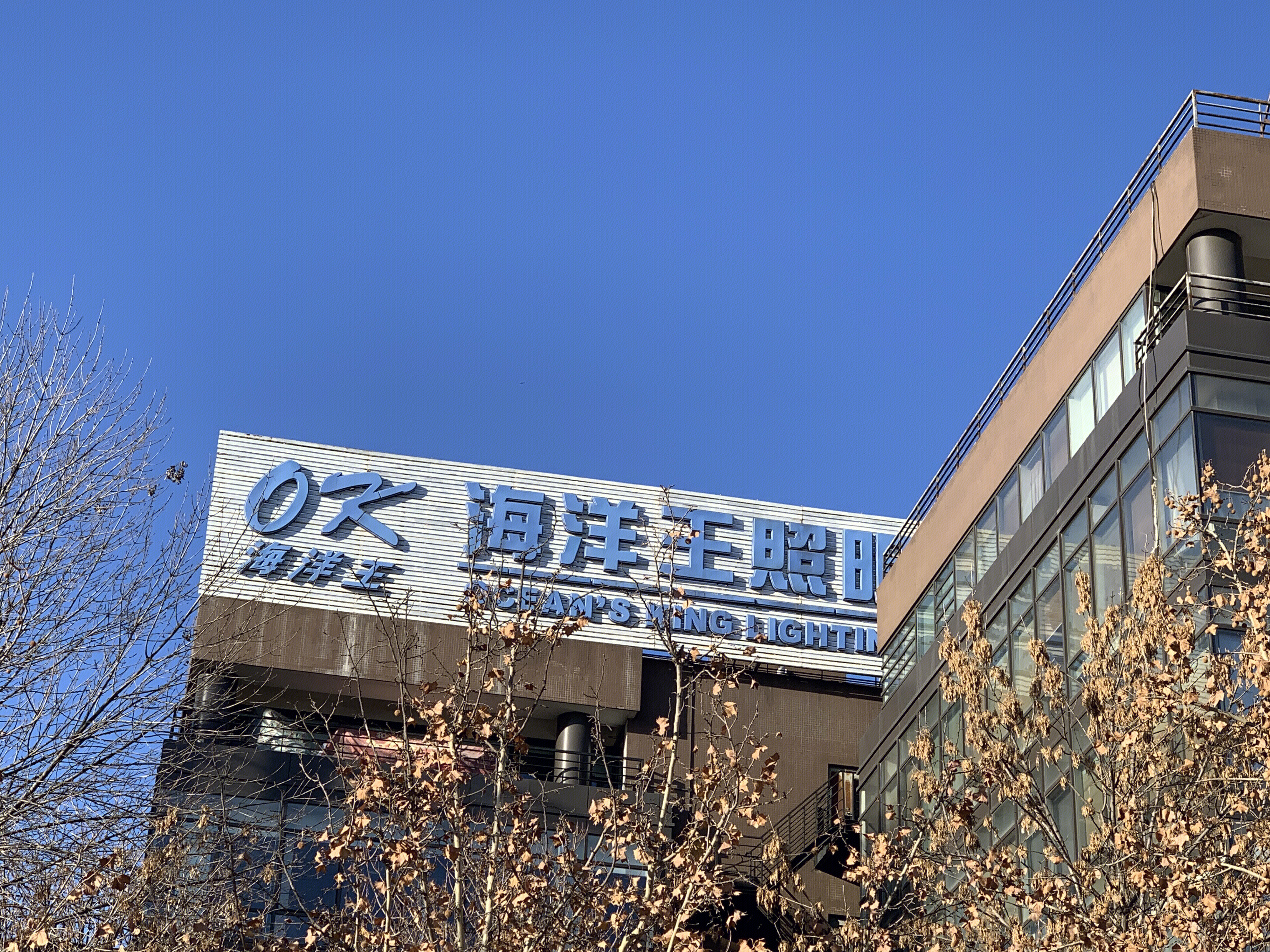 海洋王照明 灯具 手电筒 筒灯