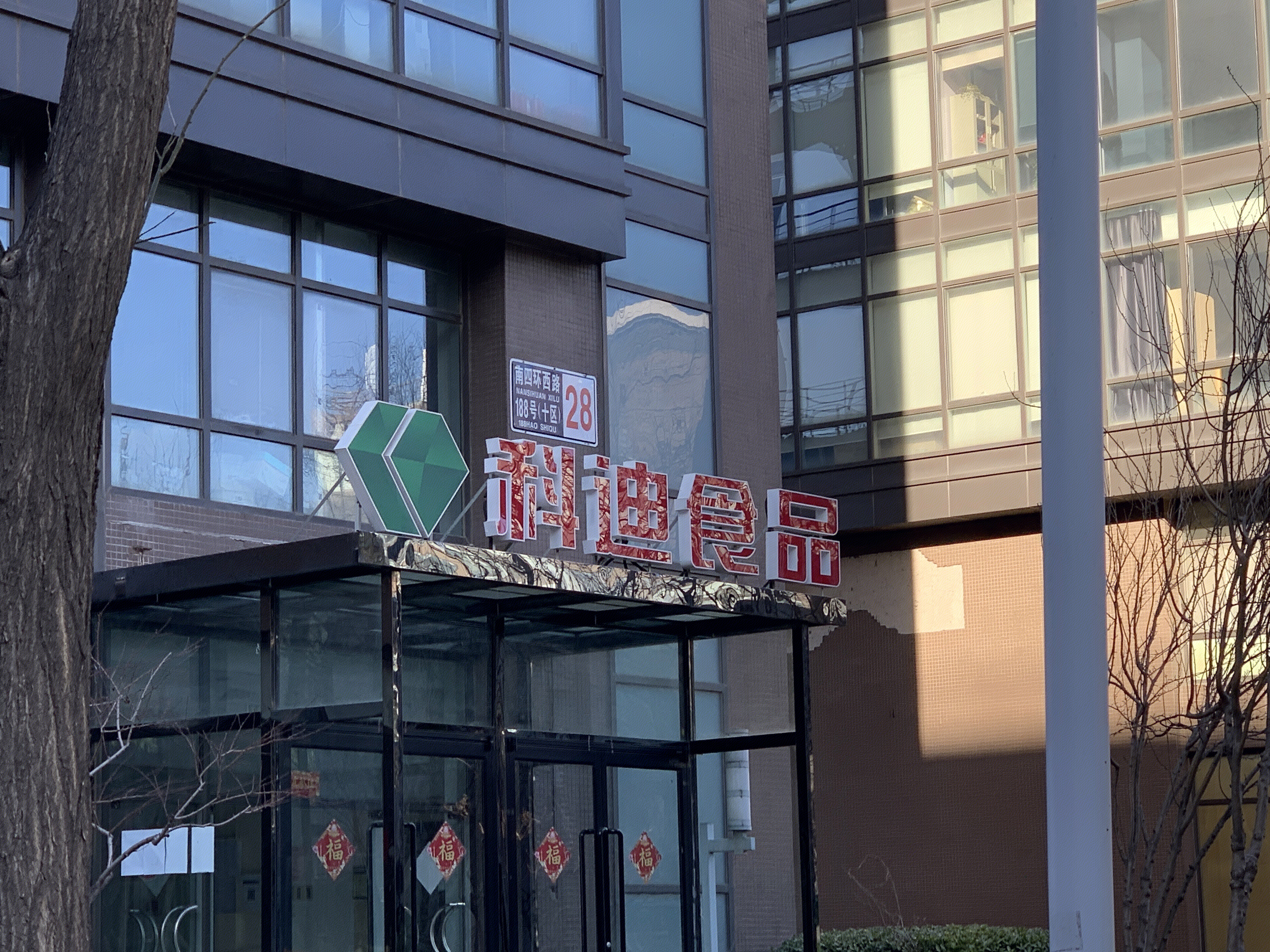 科迪食品 汤圆 速冻食品