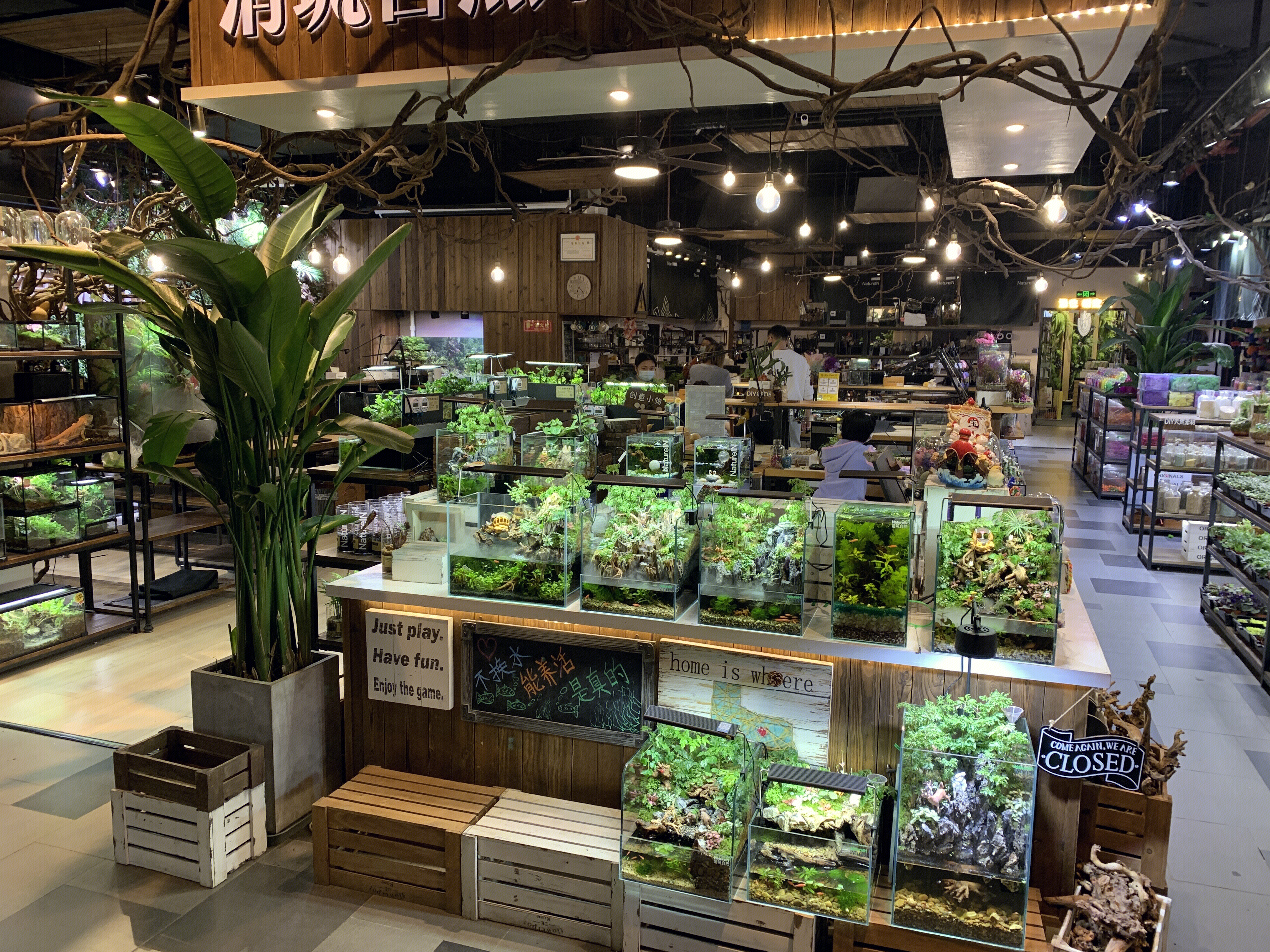 清筑自然 绿植微景观 手工diy 家庭景观