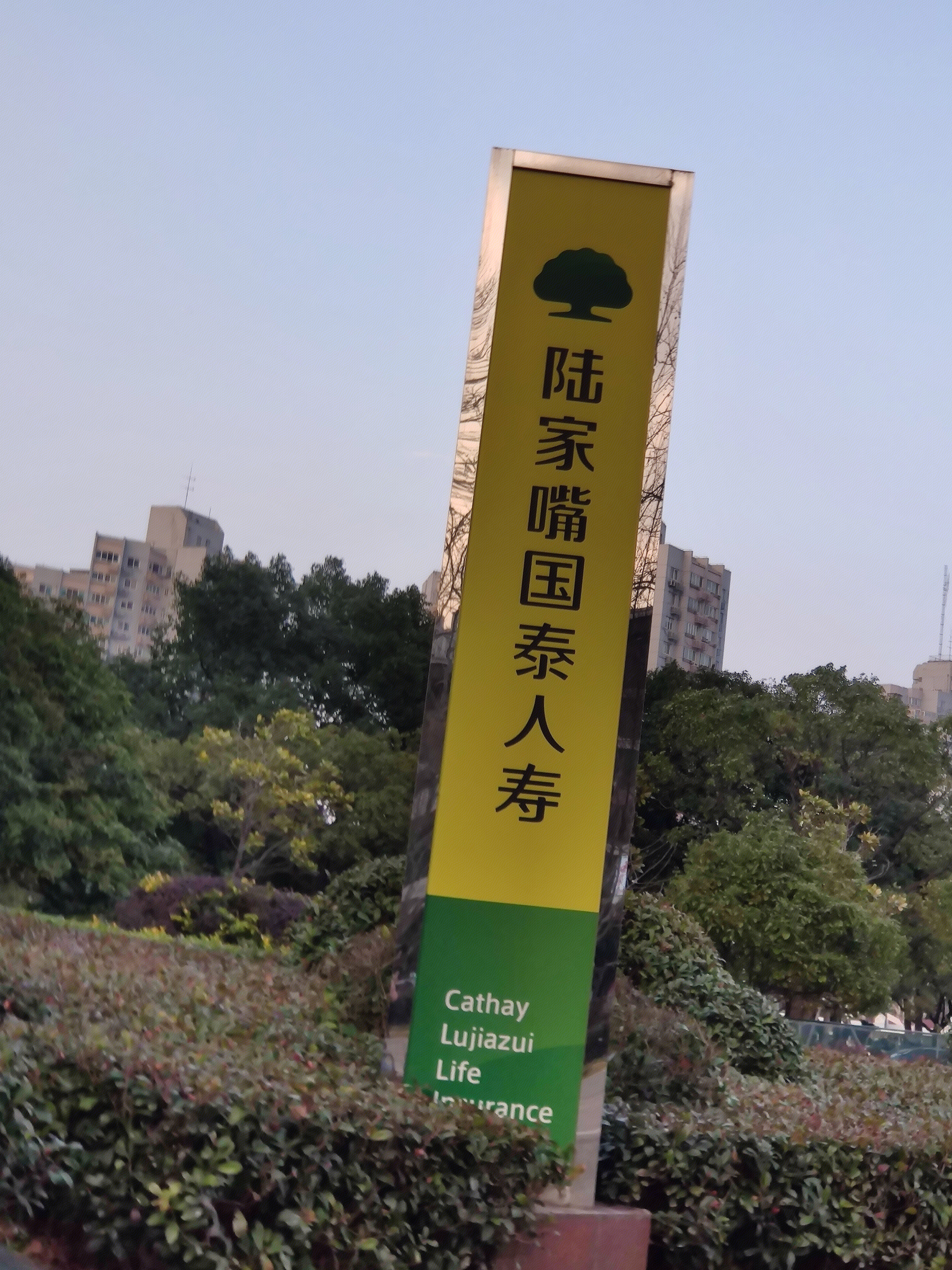 陆家嘴国泰人寿 Cathay Lujiazui Life Insurance 保险 寿险