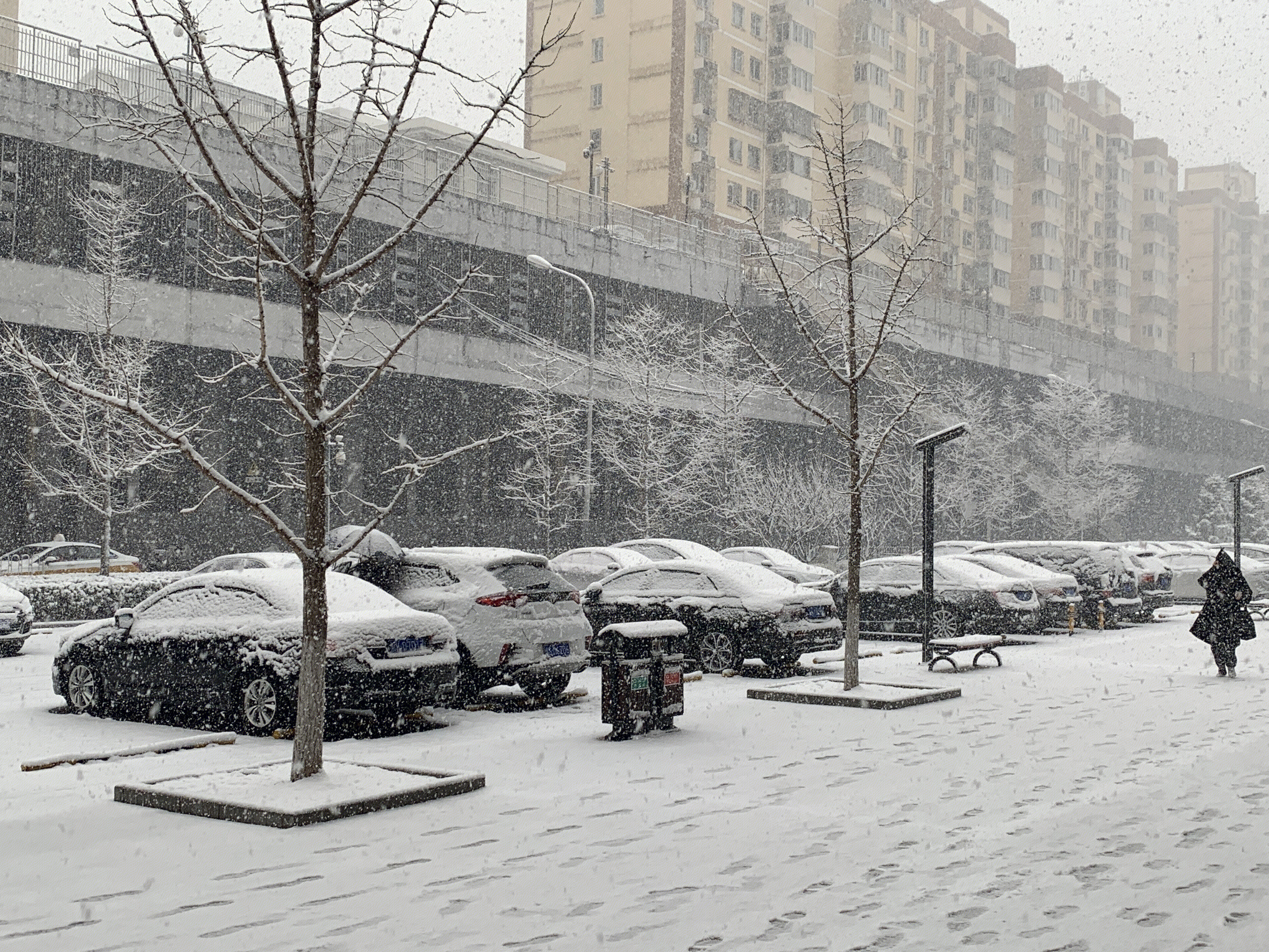 北京 下雪 雪景 大雪