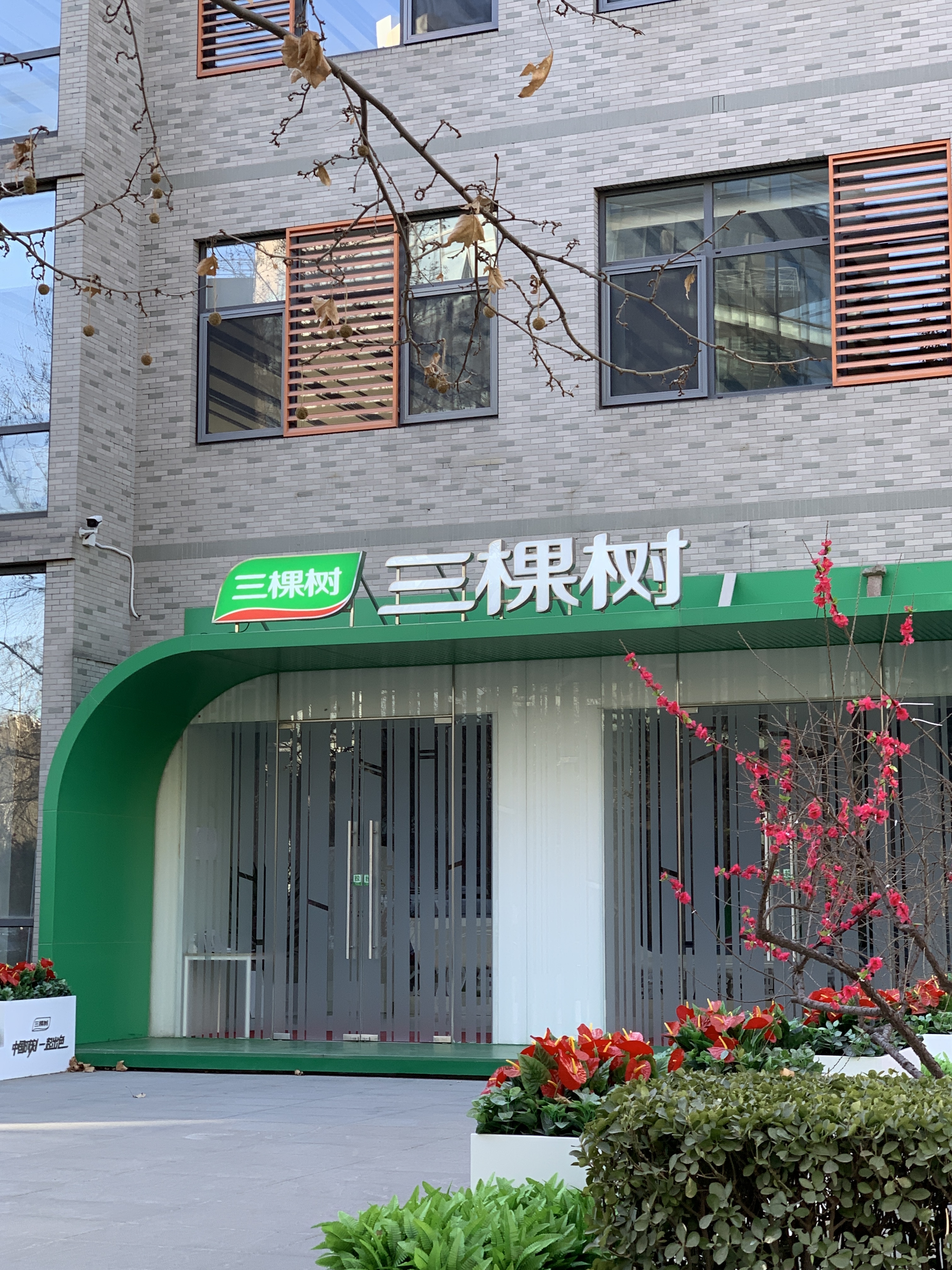 三棵树 涂料 油漆 装修