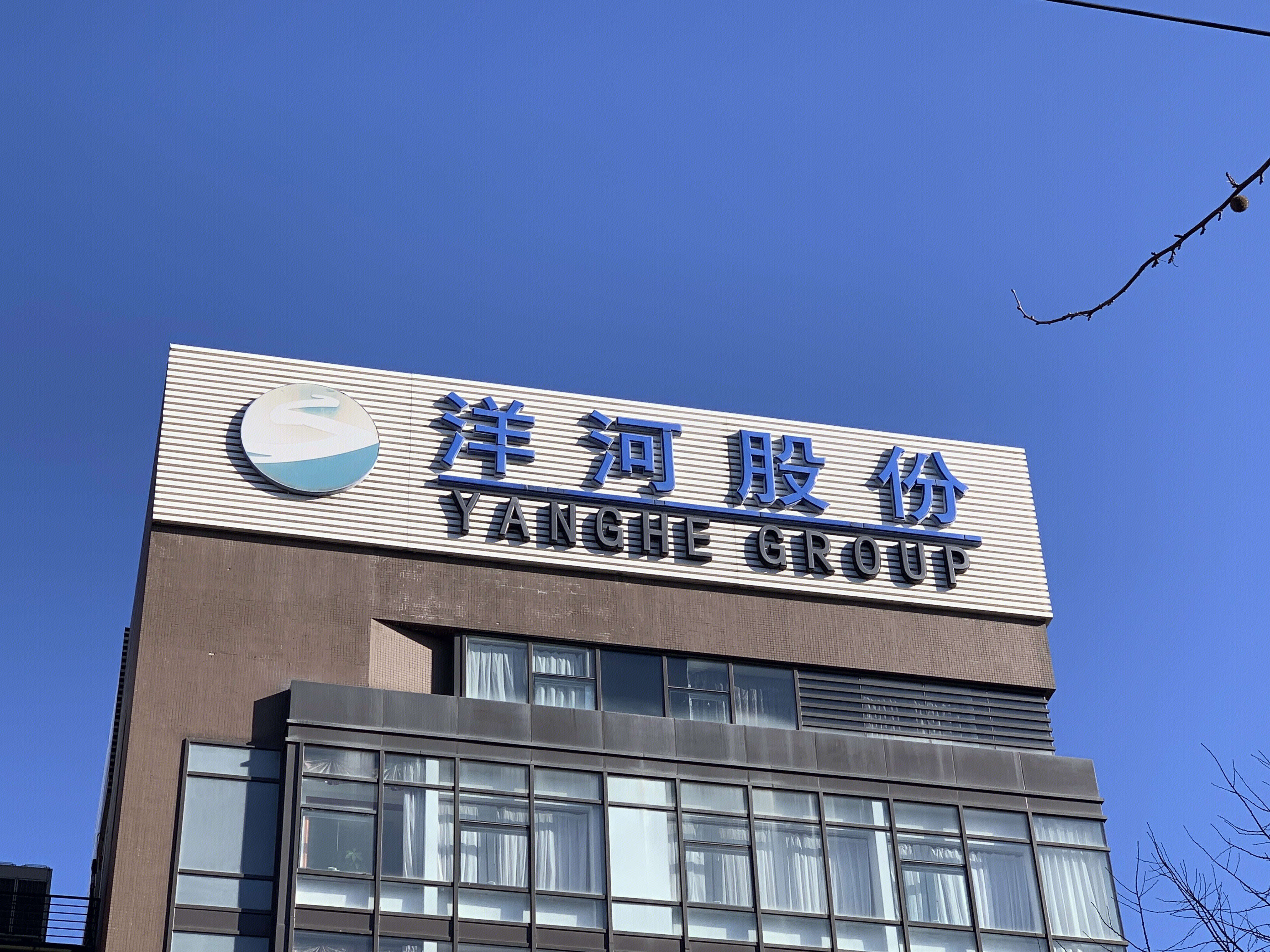 洋河股份 洋河大曲 洋河酒业 梦之蓝 天之蓝 海之蓝 白酒