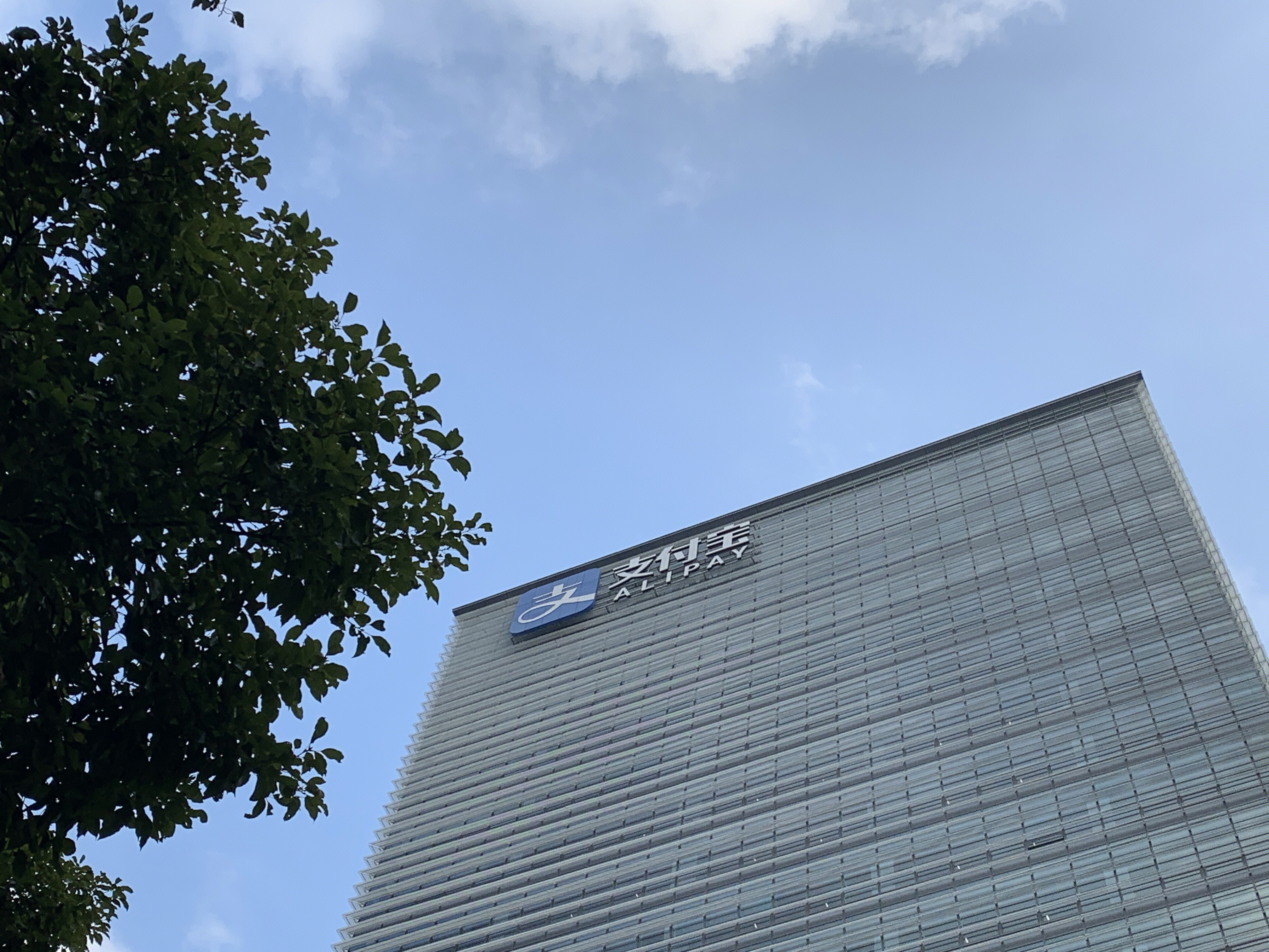 支付宝 蚂蚁金服 阿里巴巴 电子支付 ALIPAY