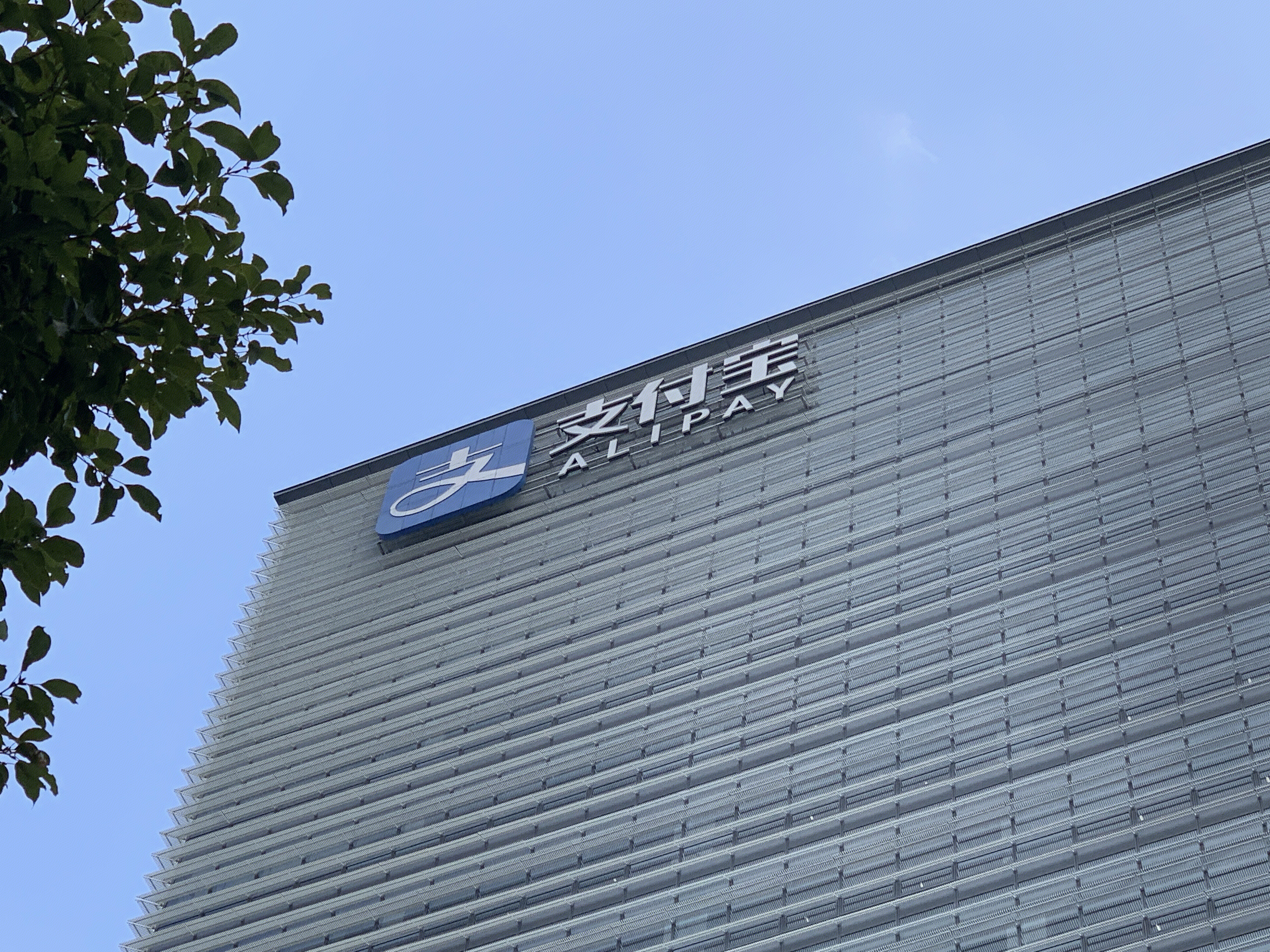 支付宝 蚂蚁金服 阿里巴巴 电子支付 alipay