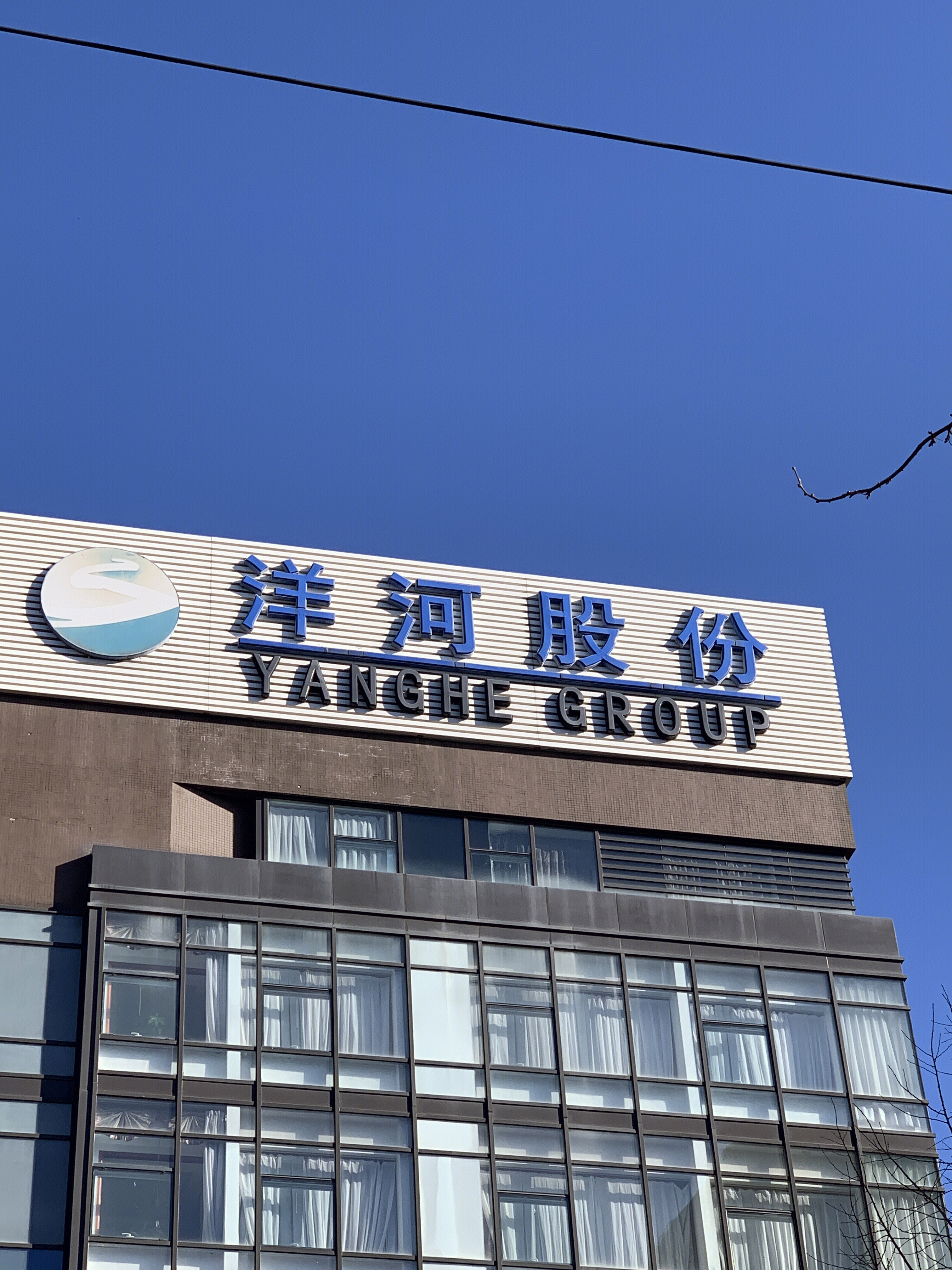 洋河股份 洋河大曲 洋河酒业 梦之蓝 天之蓝 海之蓝 白酒