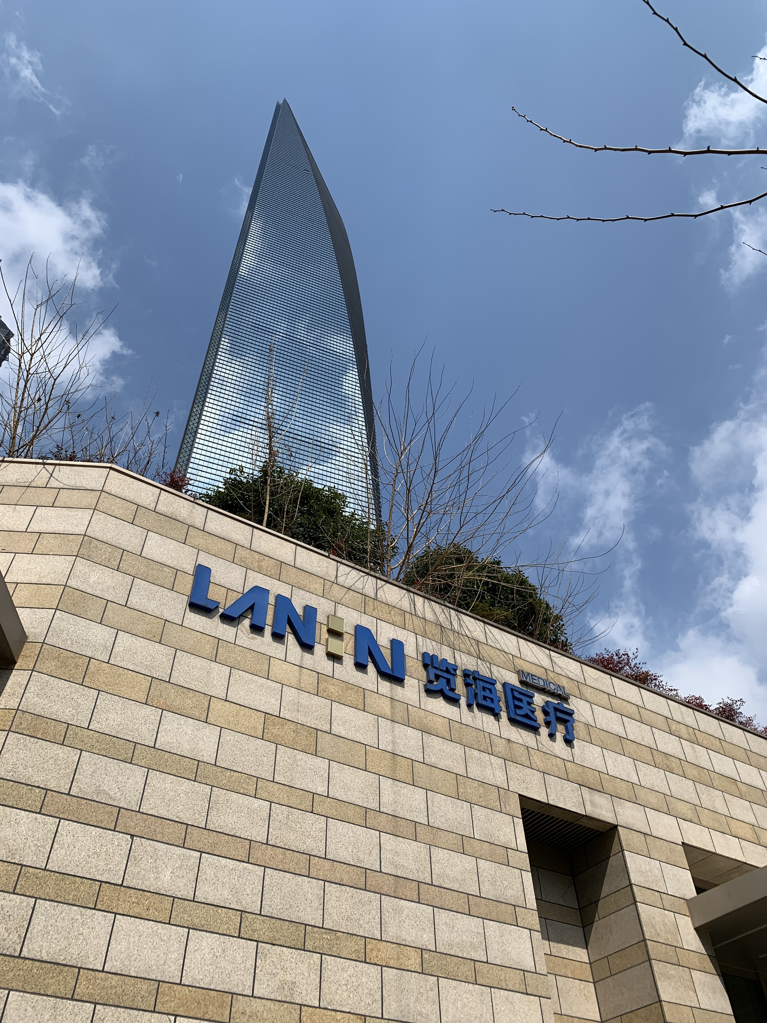 览海医疗 览海控股 览海系 密春雷