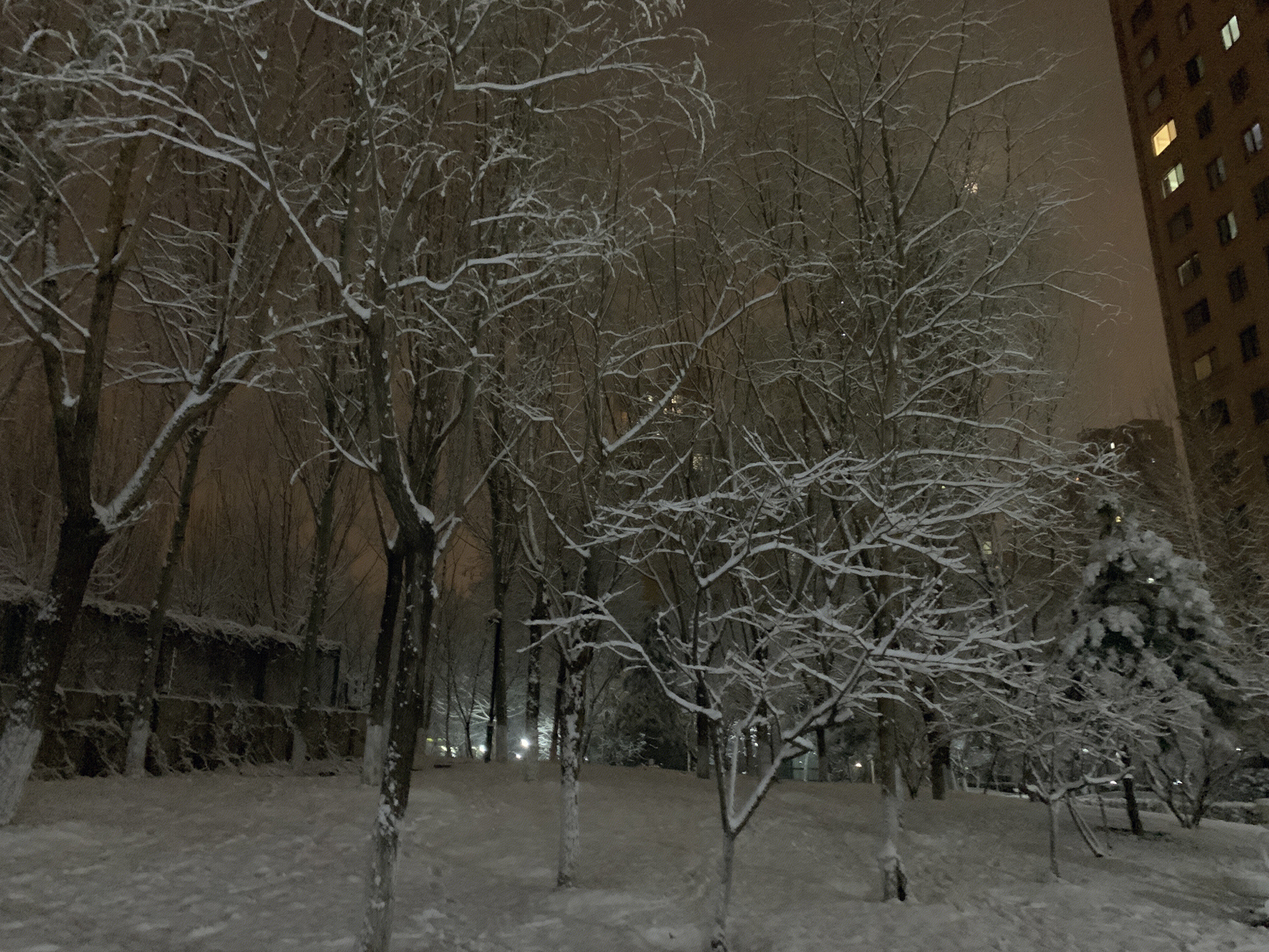 大雪 夜色 夜晚