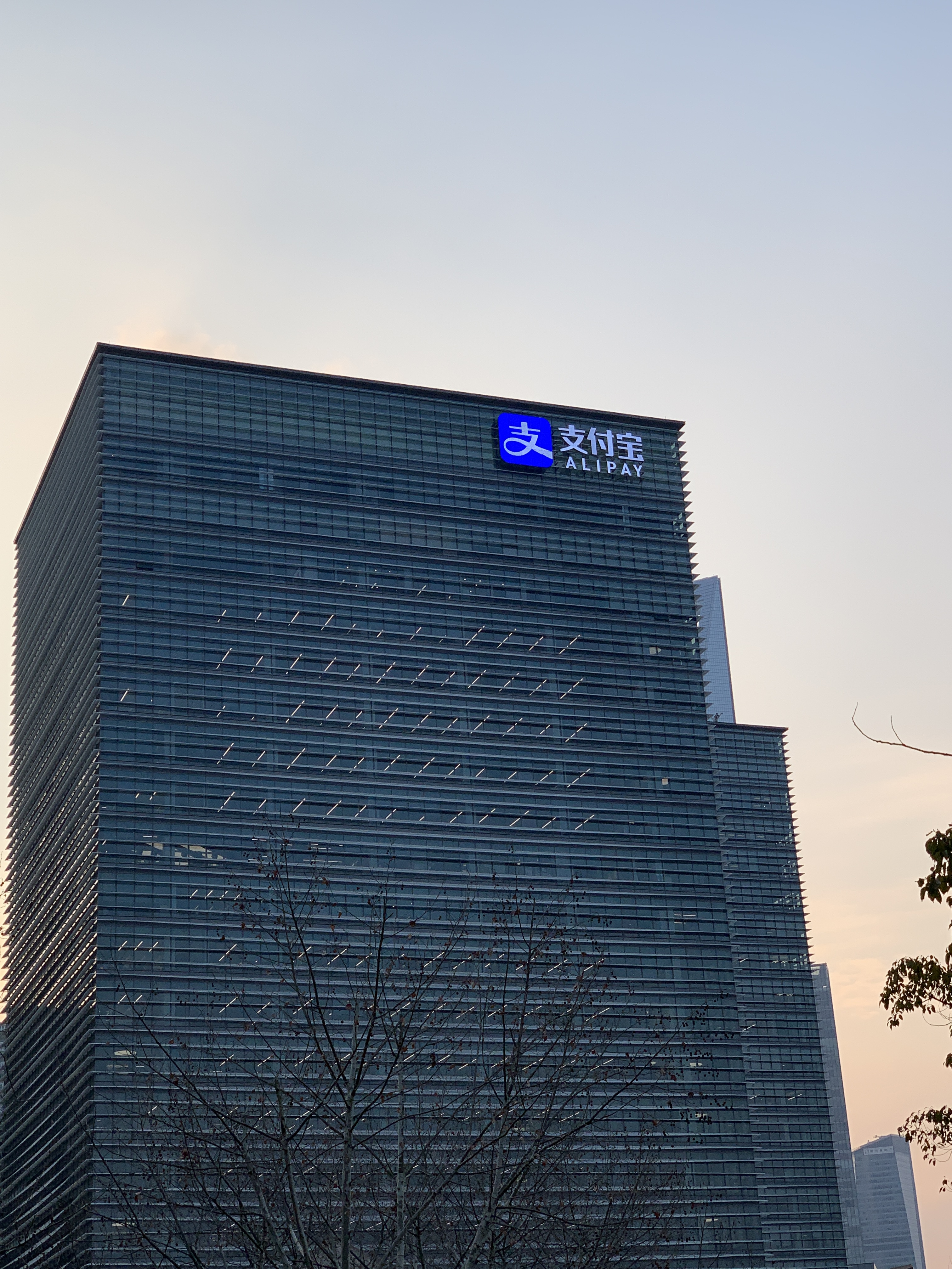 支付宝 阿里巴巴 蚂蚁金服