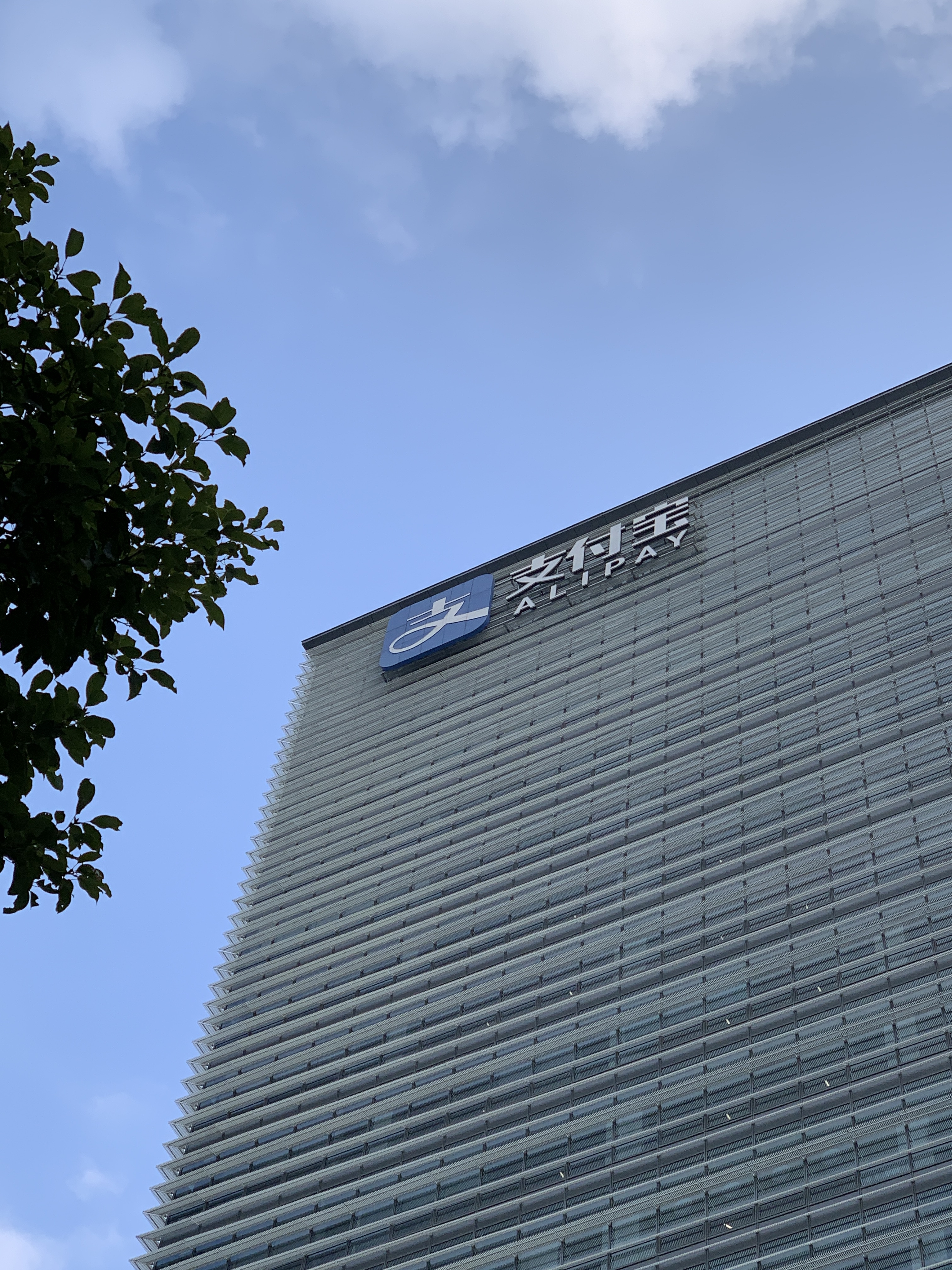 支付宝 蚂蚁金服 阿里巴巴 电子支付