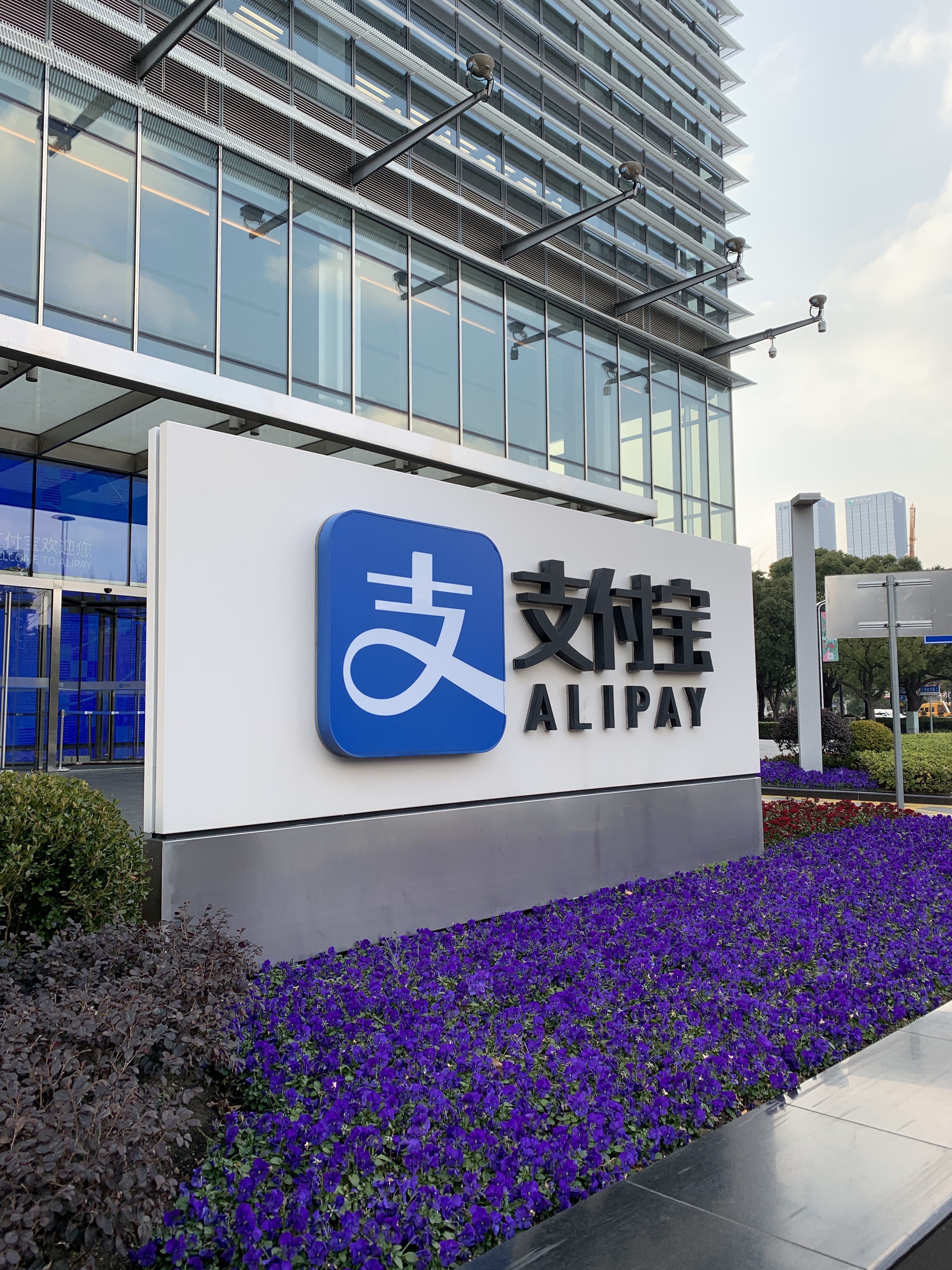 支付宝 蚂蚁金服 阿里巴巴 电子支付 ALIPAY