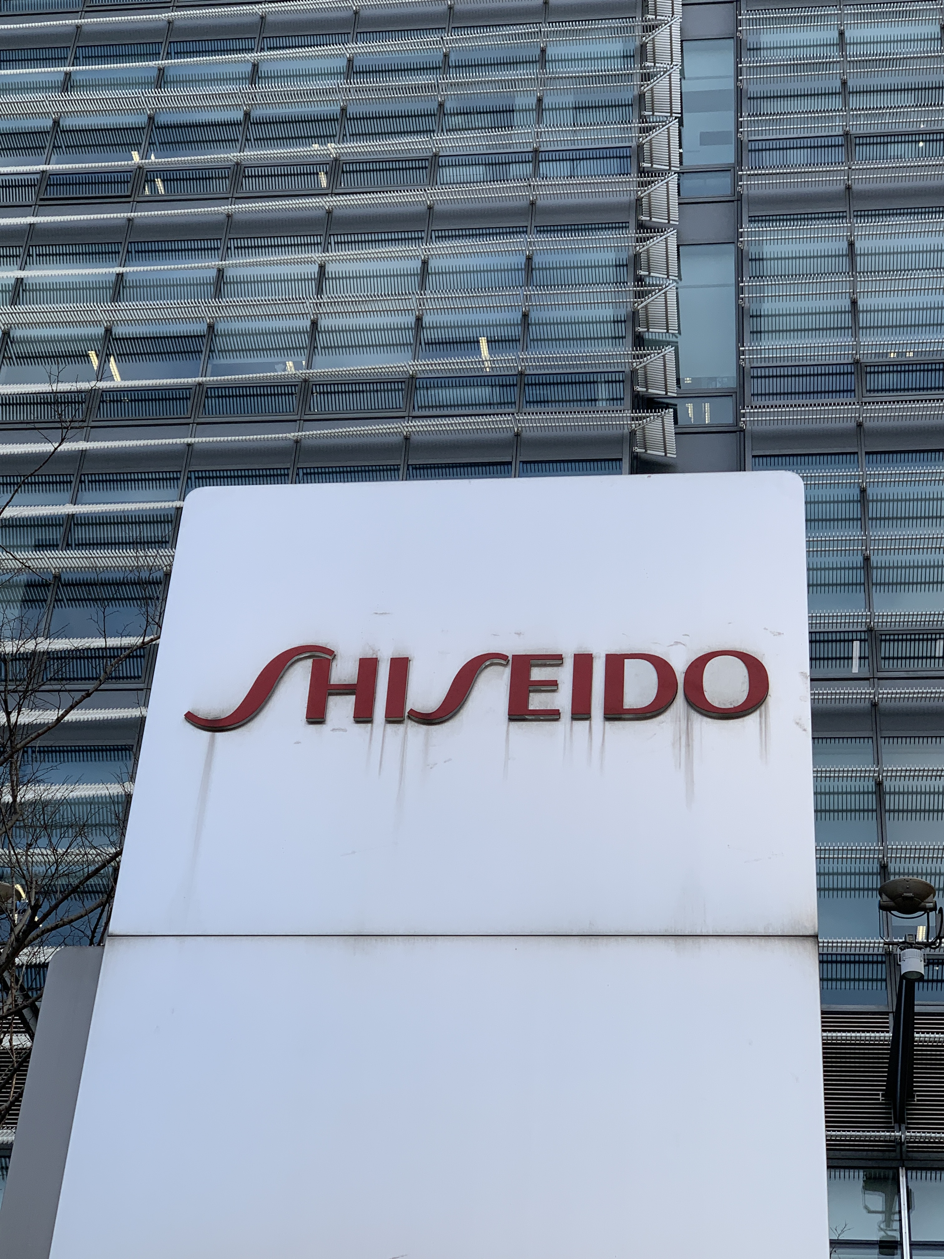 资生堂 SHISEIDO 日本 化妆品 护肤品