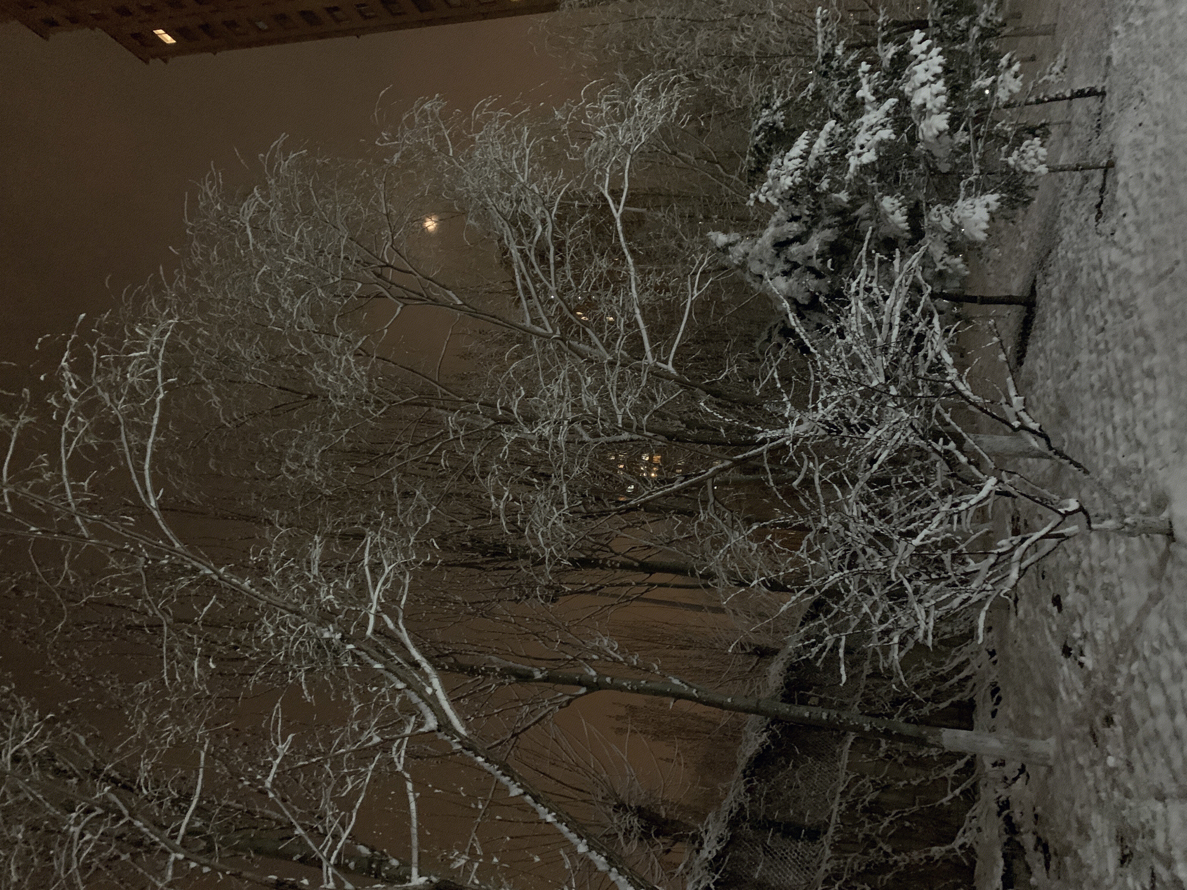 夜晚 大雪 夜色