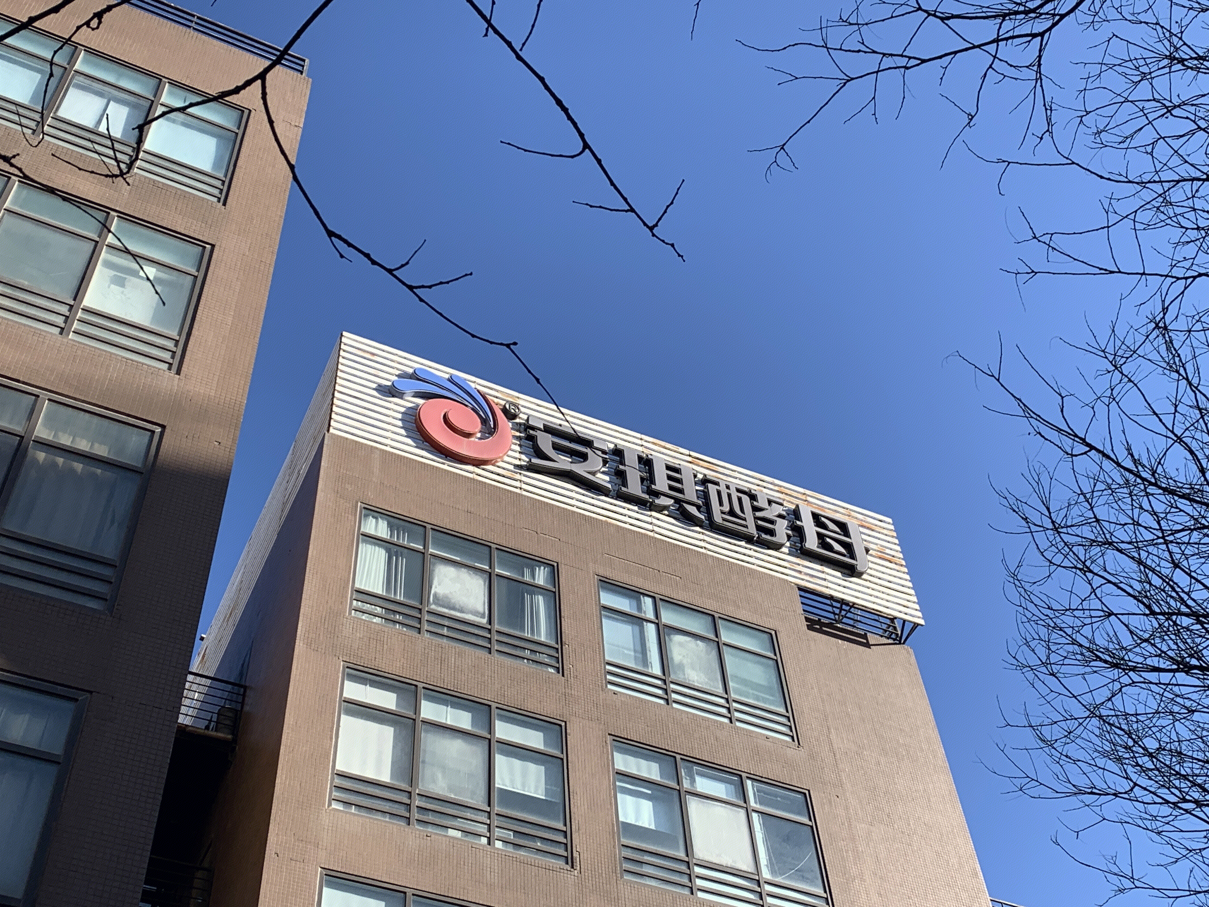 安琪酵母 食品 生物技术