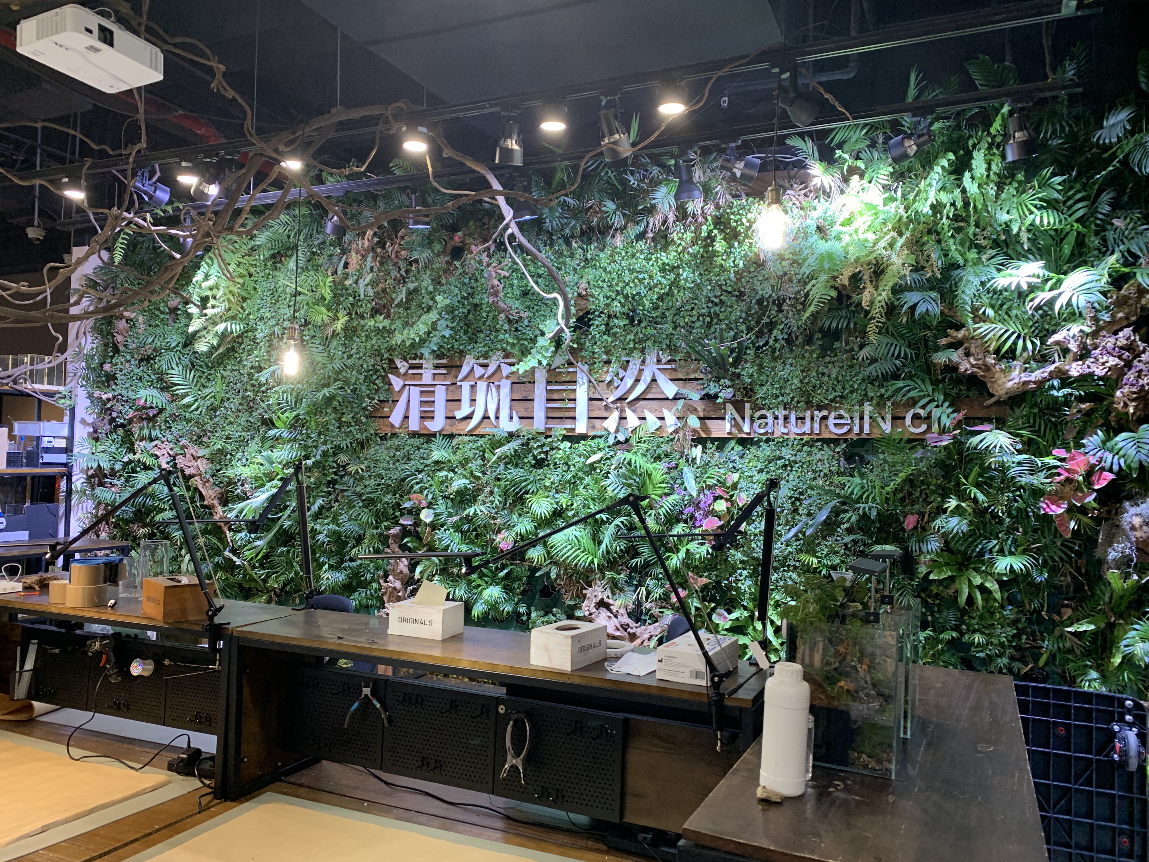 清筑自然 微景观 手工diy 家庭景观