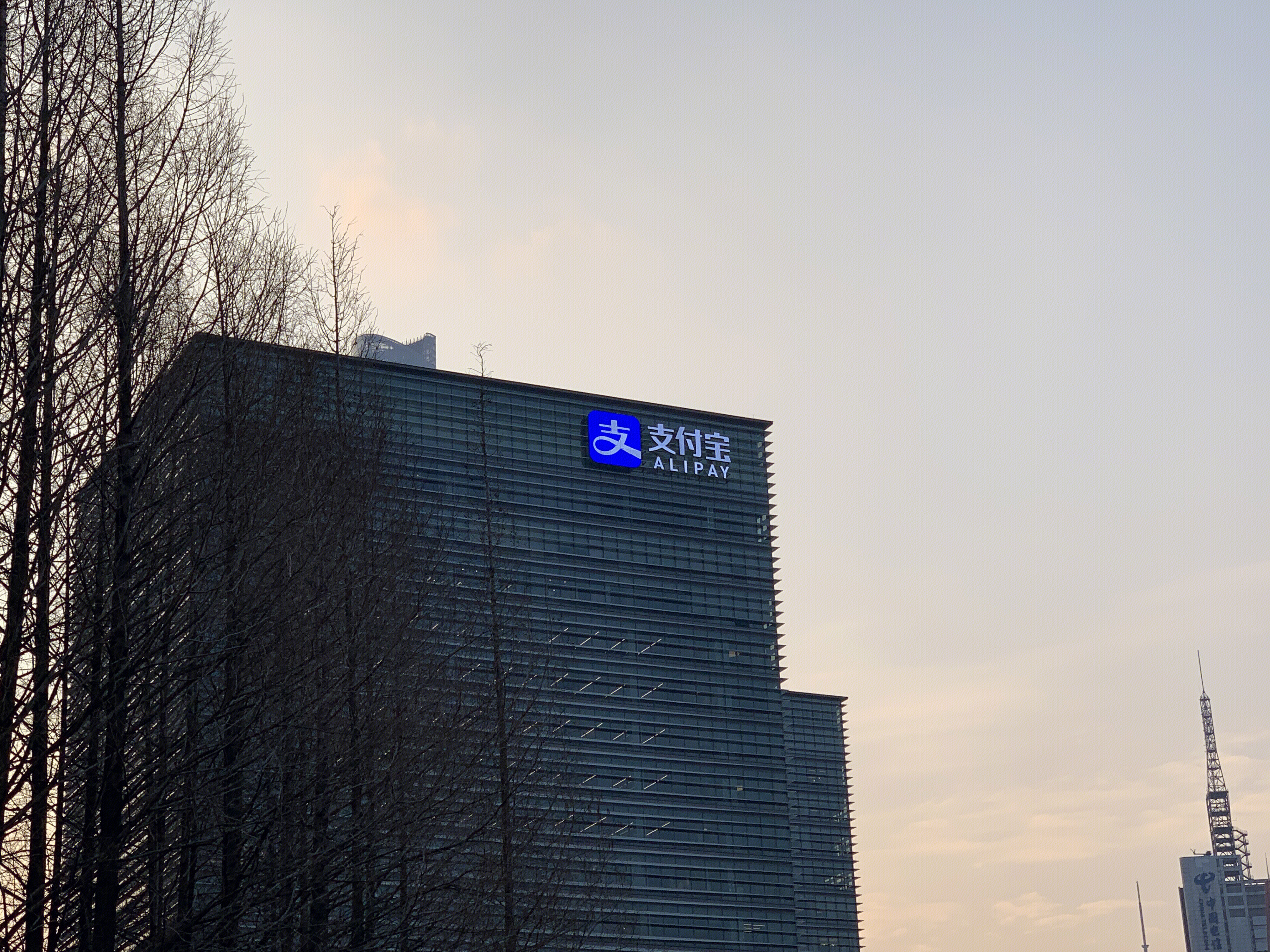 支付宝 alipay 蚂蚁金服 阿里巴巴 电子支付