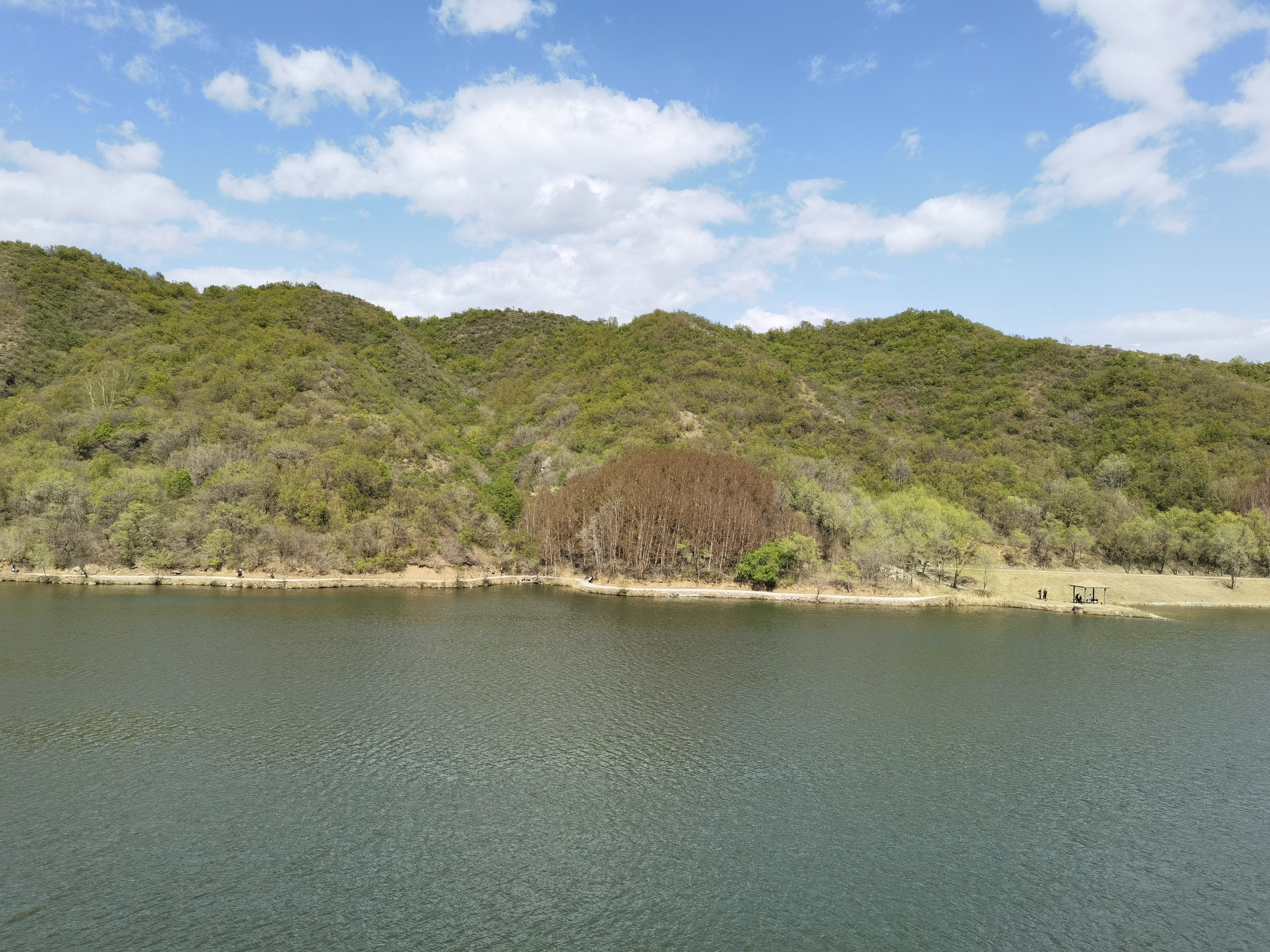 河边 春色 湖 绿树 山