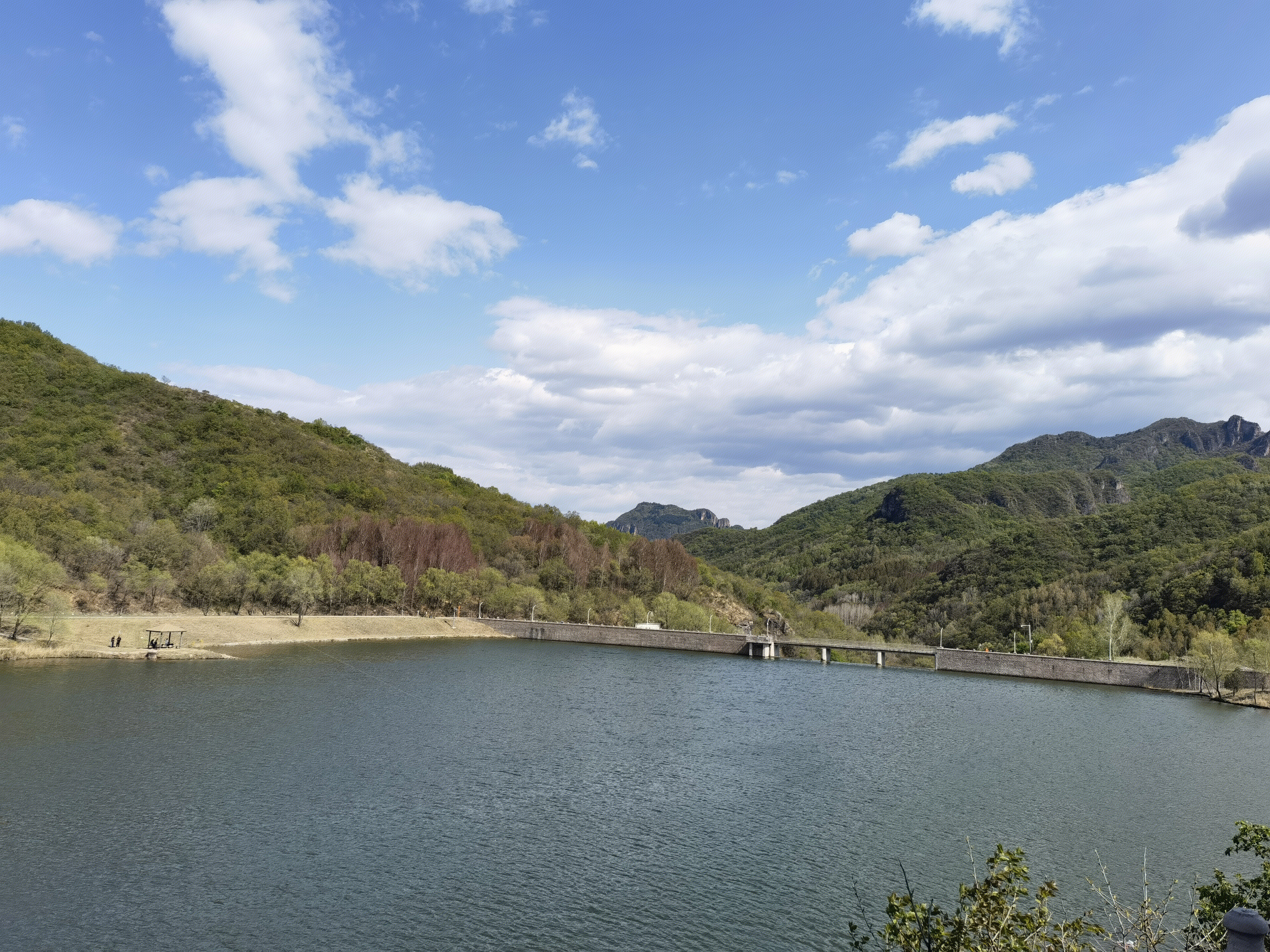 河边 春色 湖 绿树 山