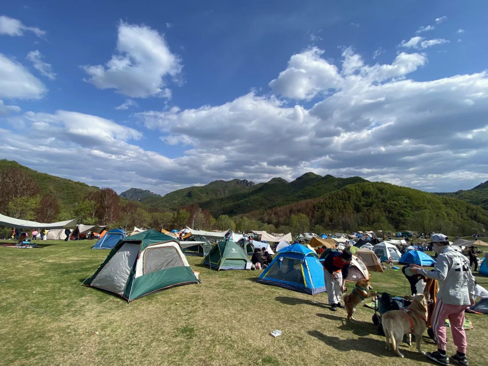 露营  帐篷  春游  露营地